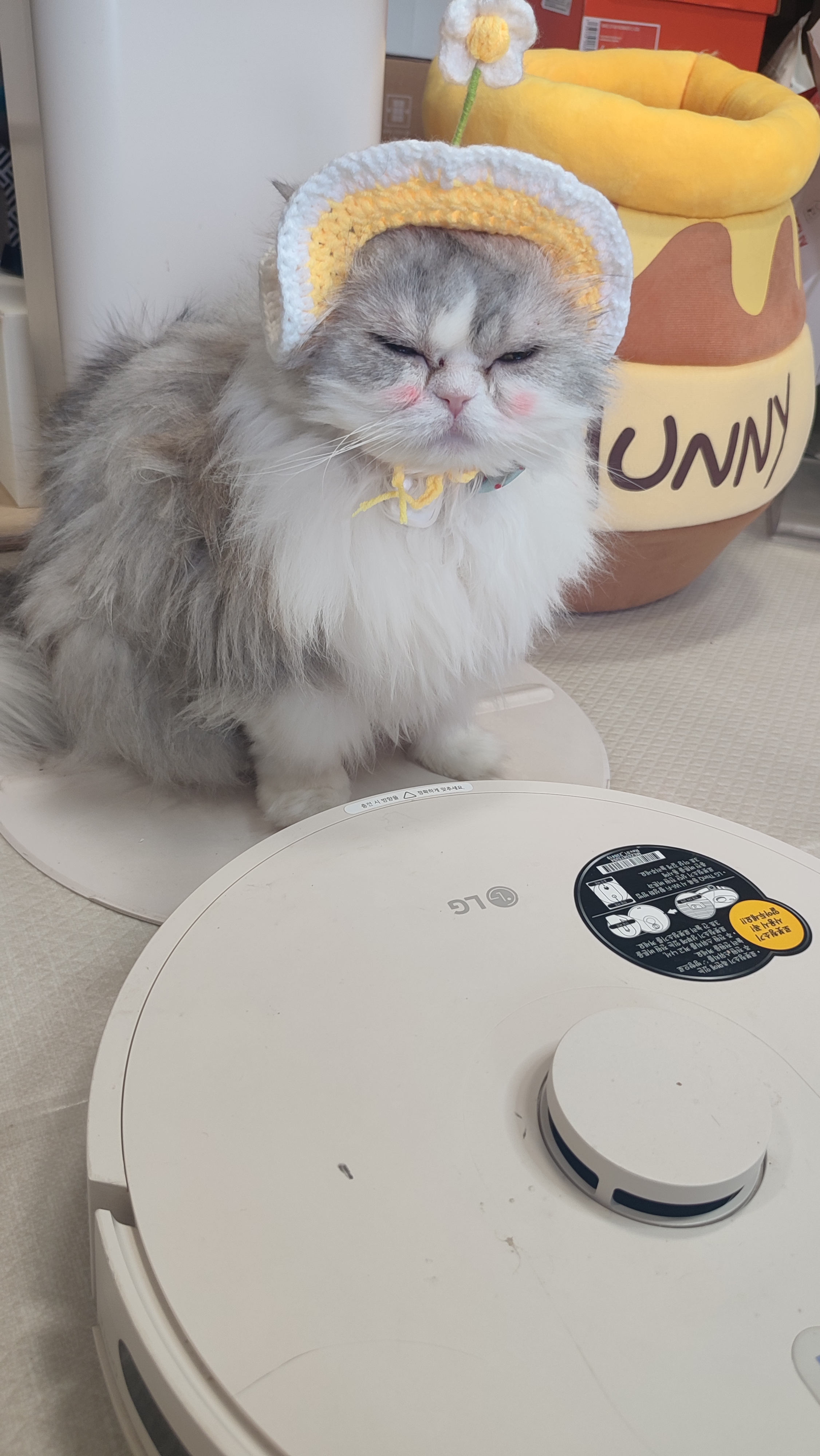 우리집 효자 로봇청소기  R5 