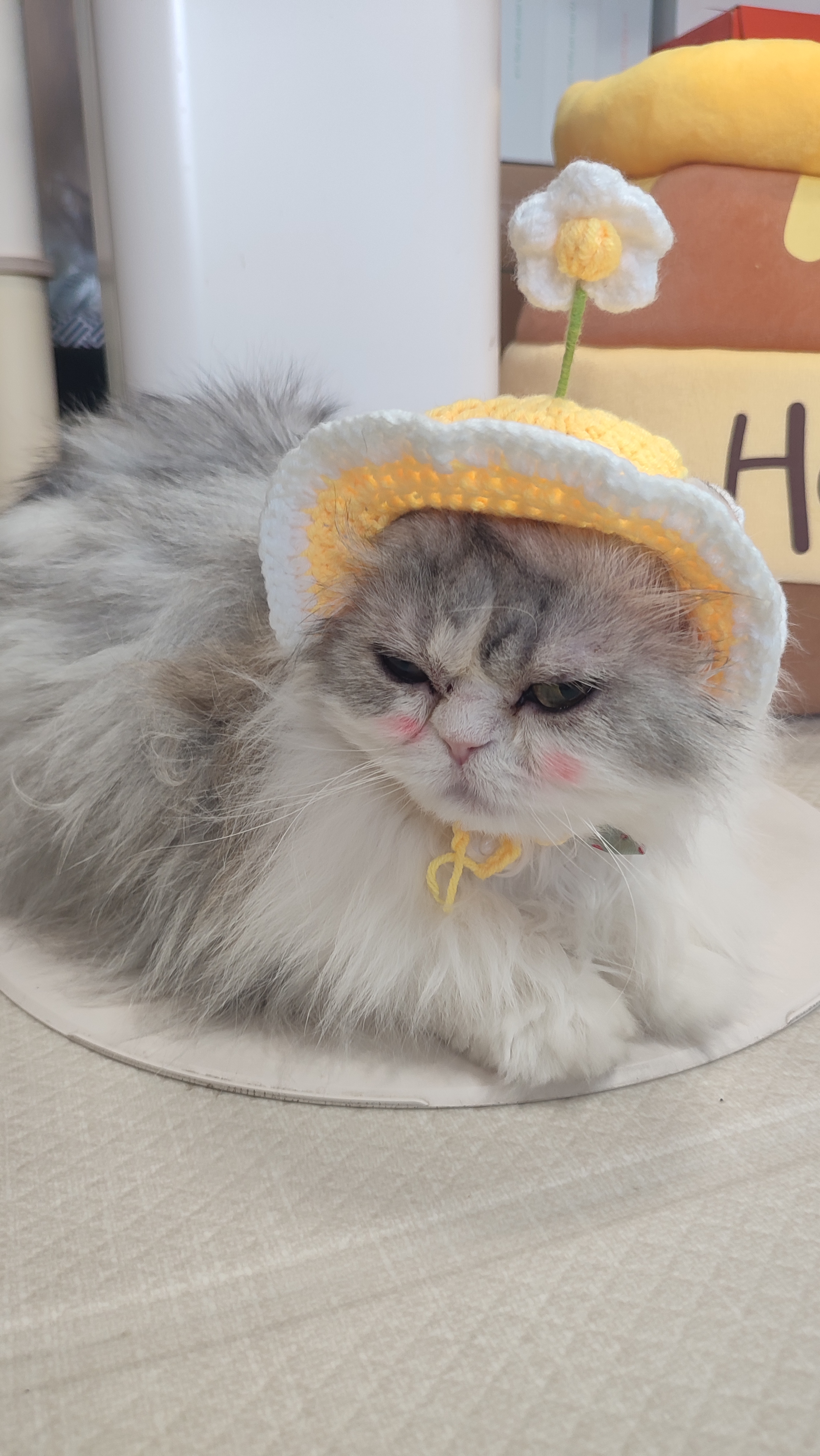 우리집 효자 로봇청소기  R5 