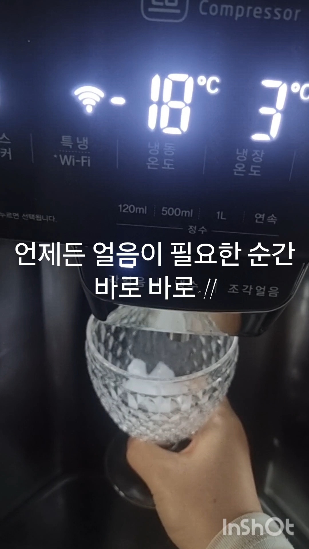 내게 너무나 소중한 얼음