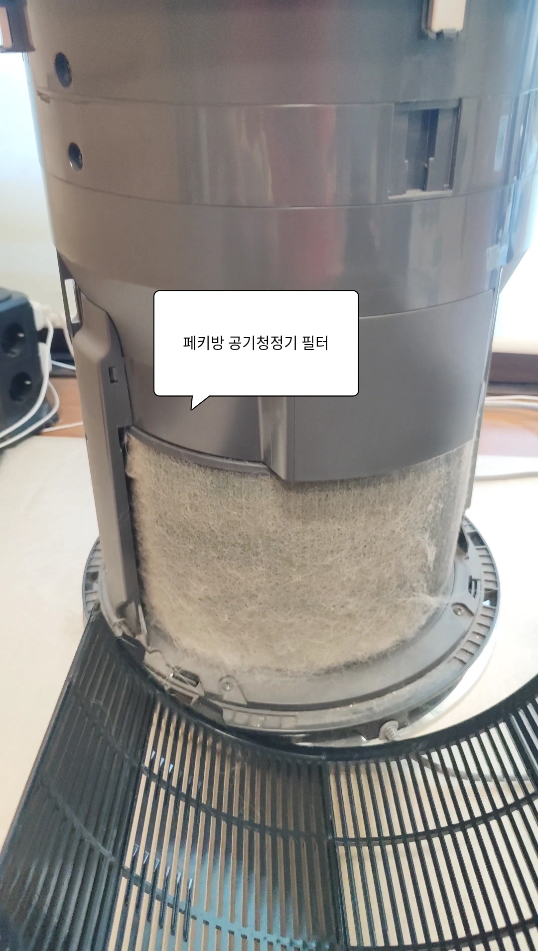 고양이가 있다면 공기청정기를 꼭 사야하는 이유