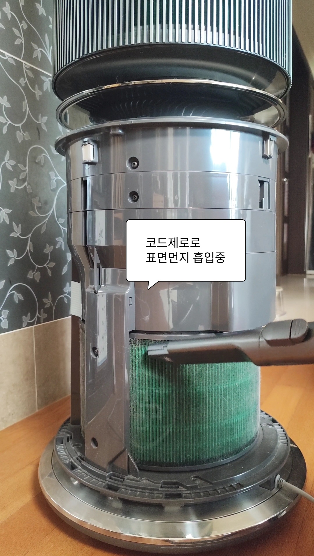 고양이가 있다면 공기청정기를 꼭 사야하는 이유