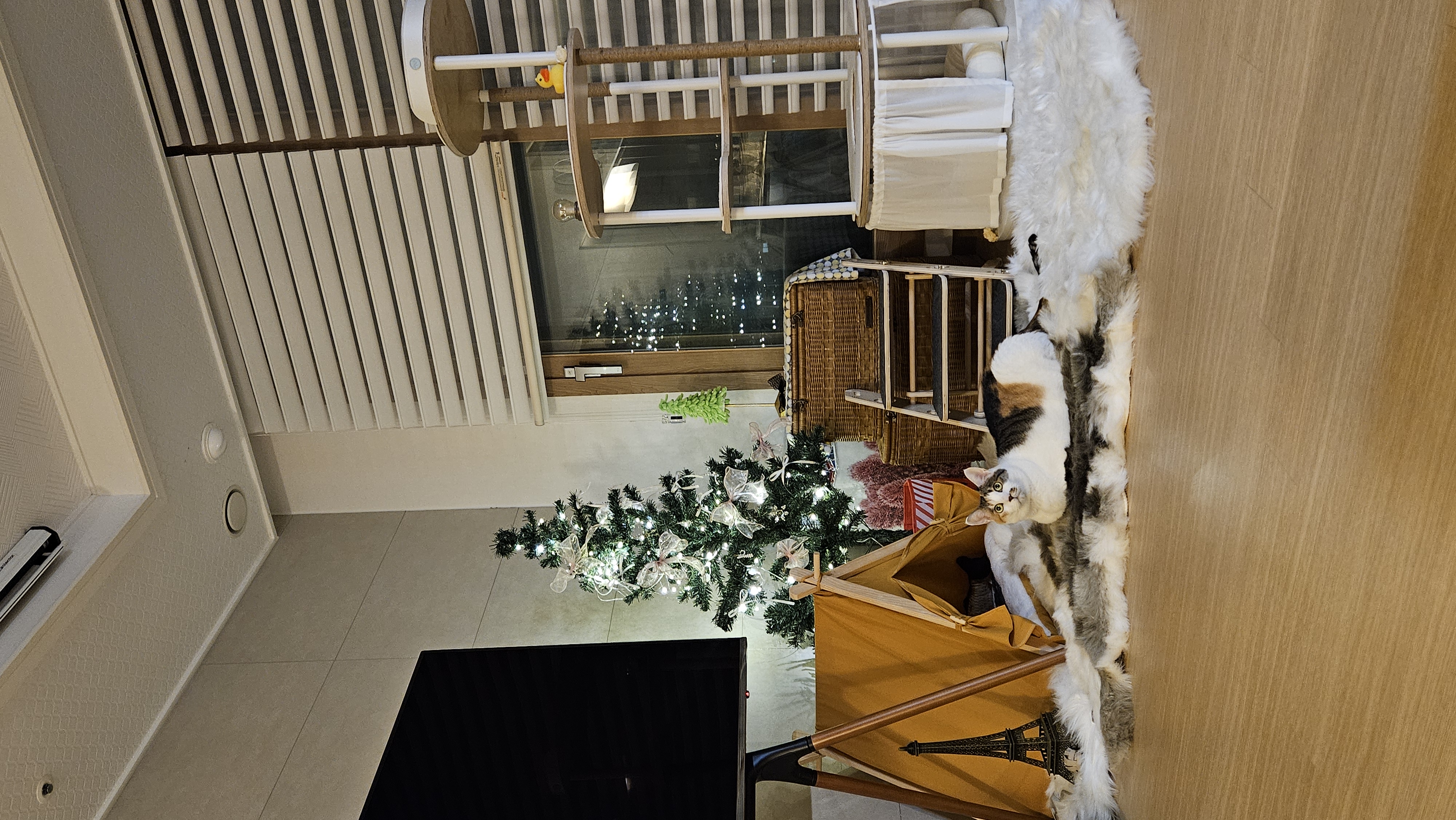 우리 집 겨울 정리 끝판왕, 고양이도 반한 따뜻한 겨울 루틴