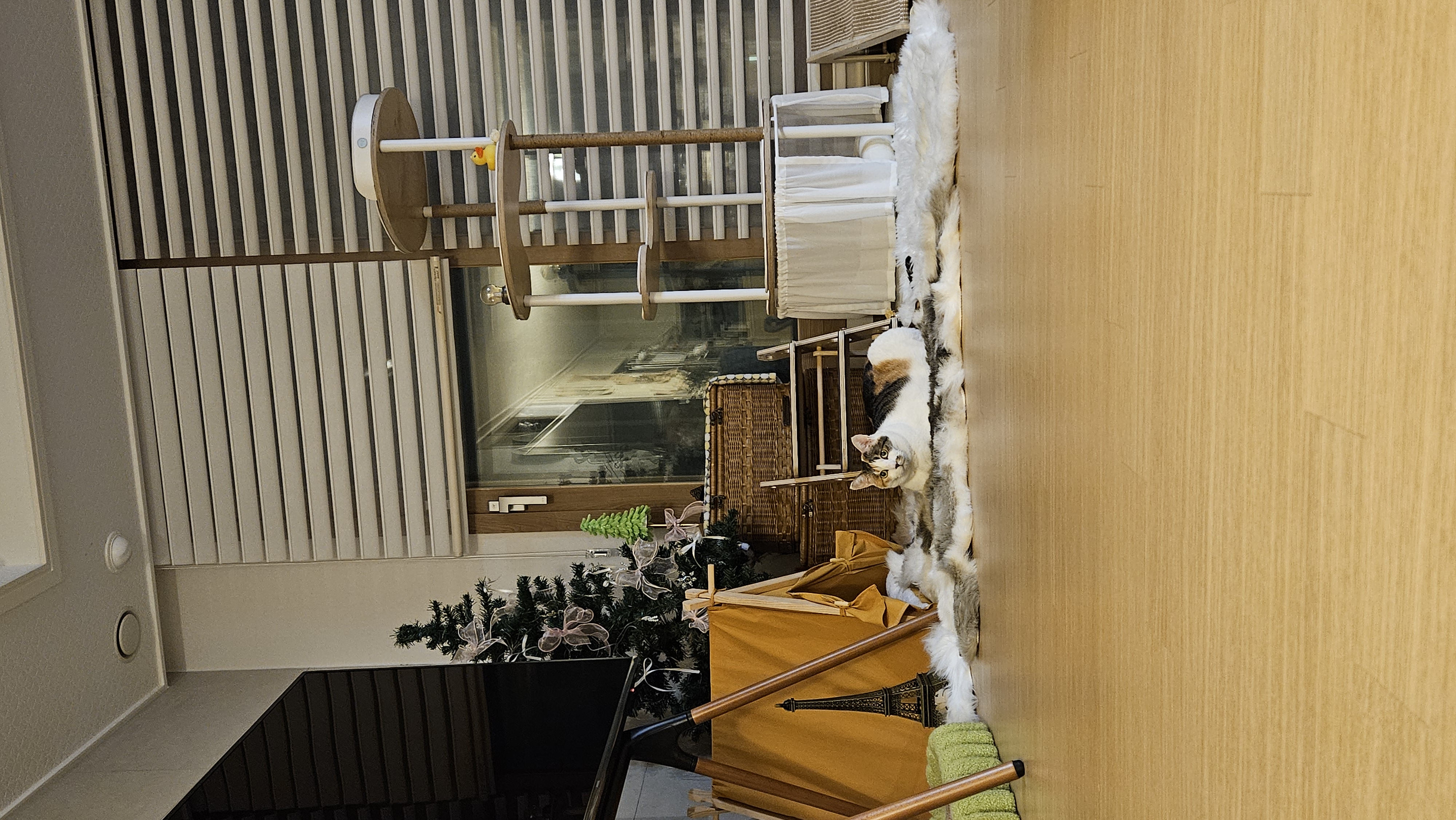 우리 집 겨울 정리 끝판왕, 고양이도 반한 따뜻한 겨울 루틴