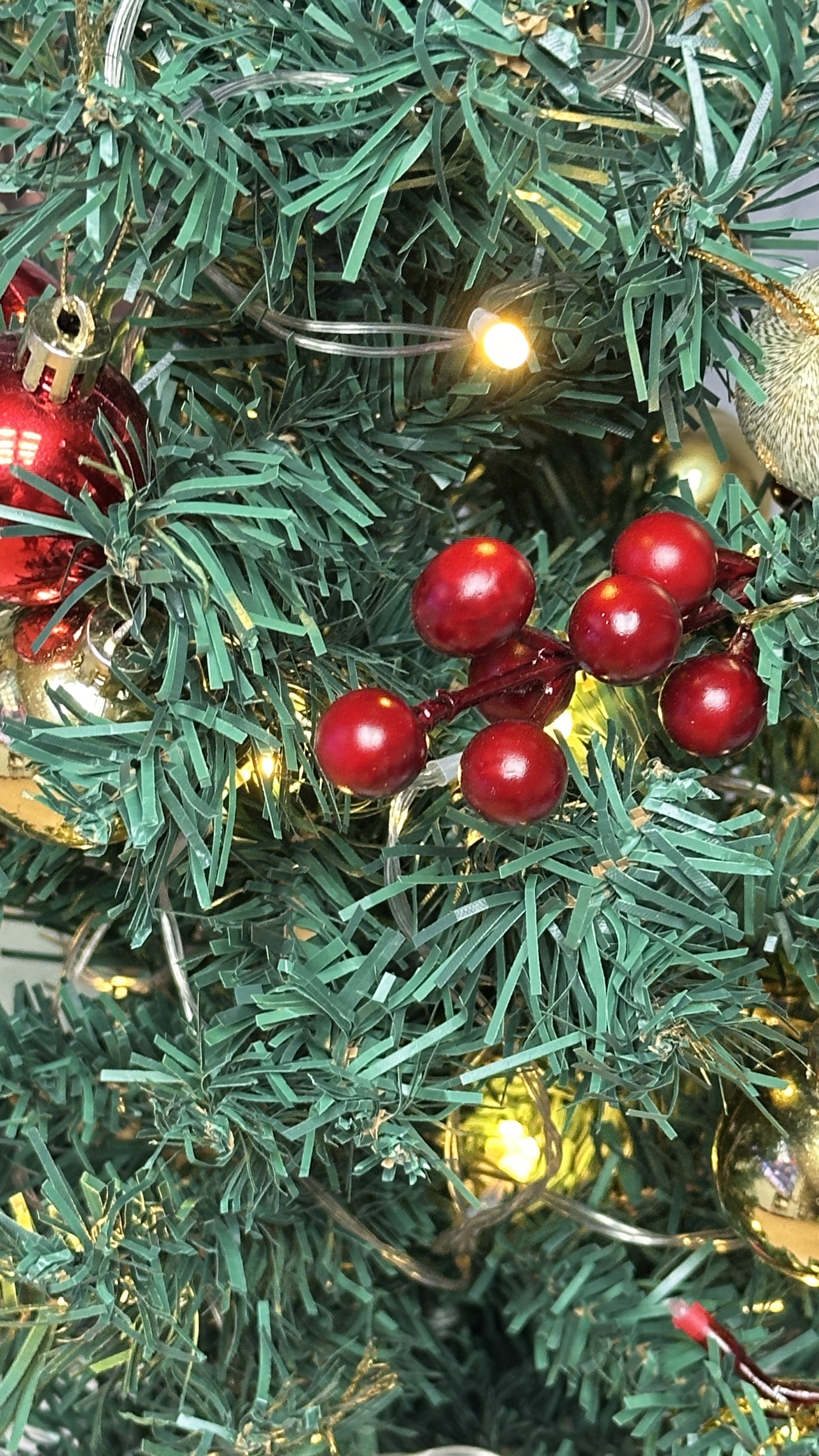 재즈가 남기고 간 여운, 우리 집으로