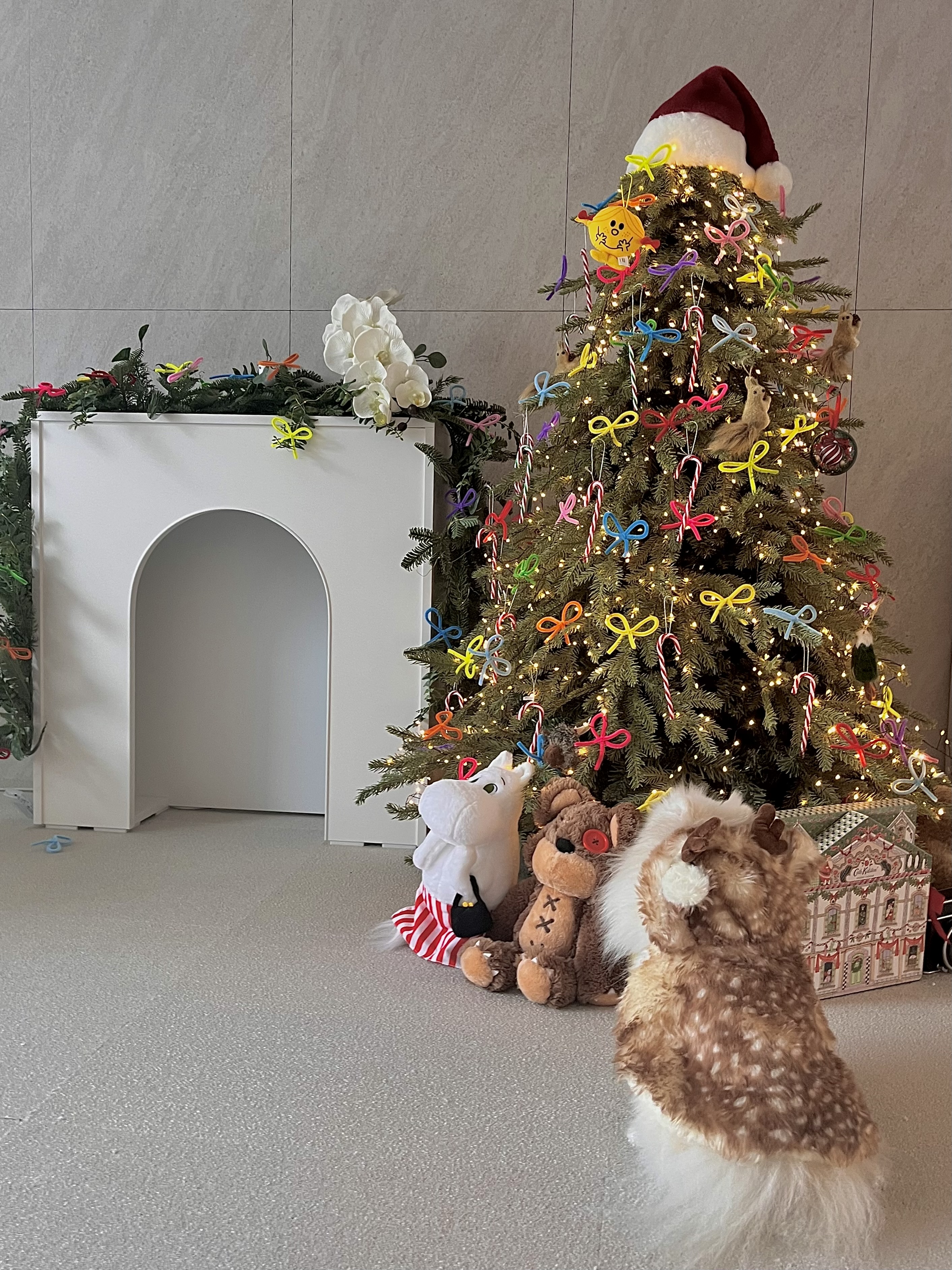 거실에서 시작되는 우리 집 크리스마스 무드🎄✨