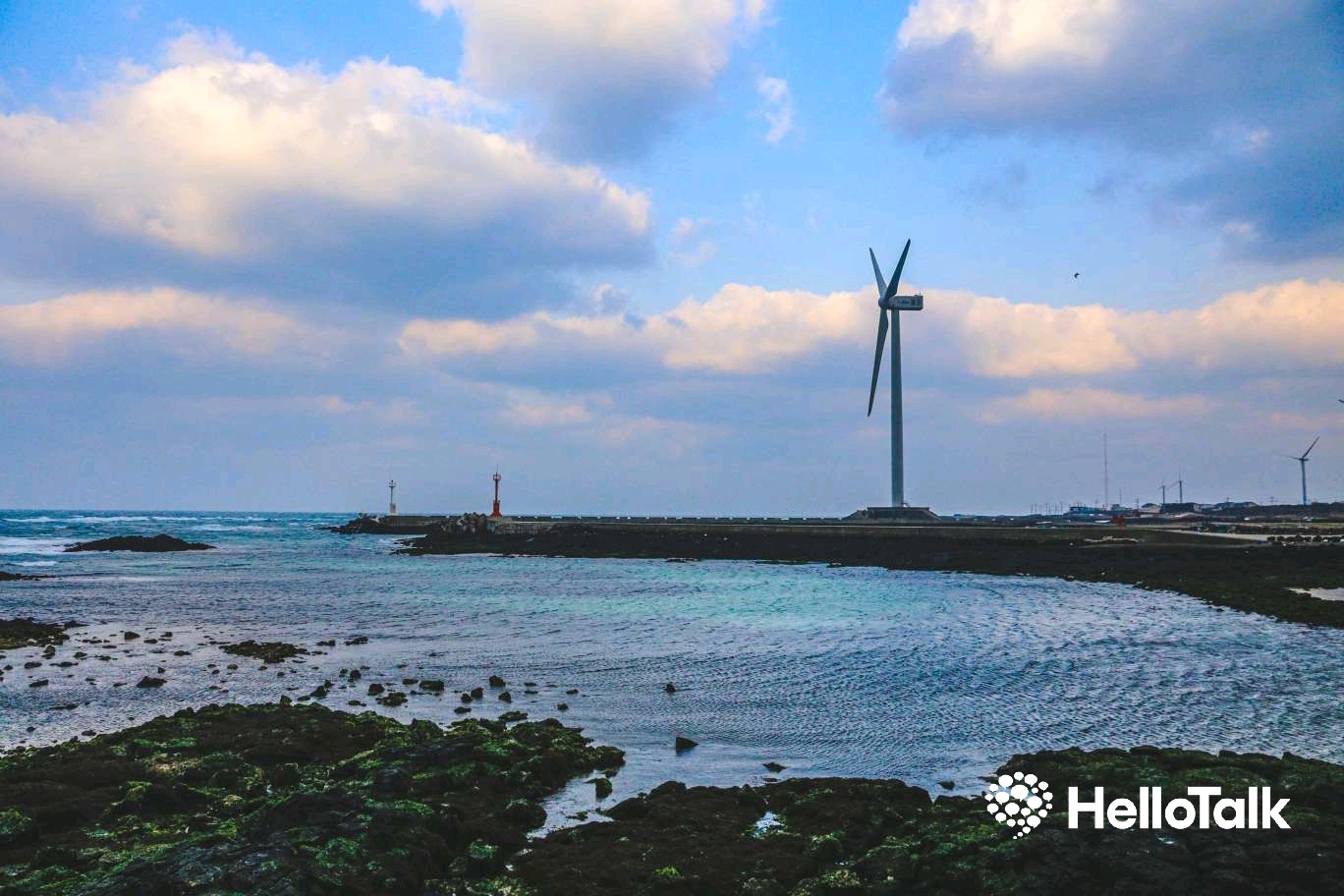 [일상 공유] 제주도 사진 맛집