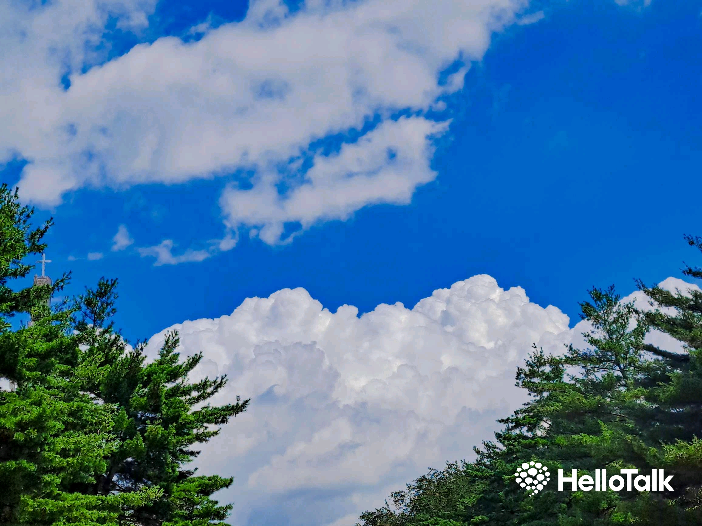 [일상 공유] 문득 올려다 본 하늘 모양