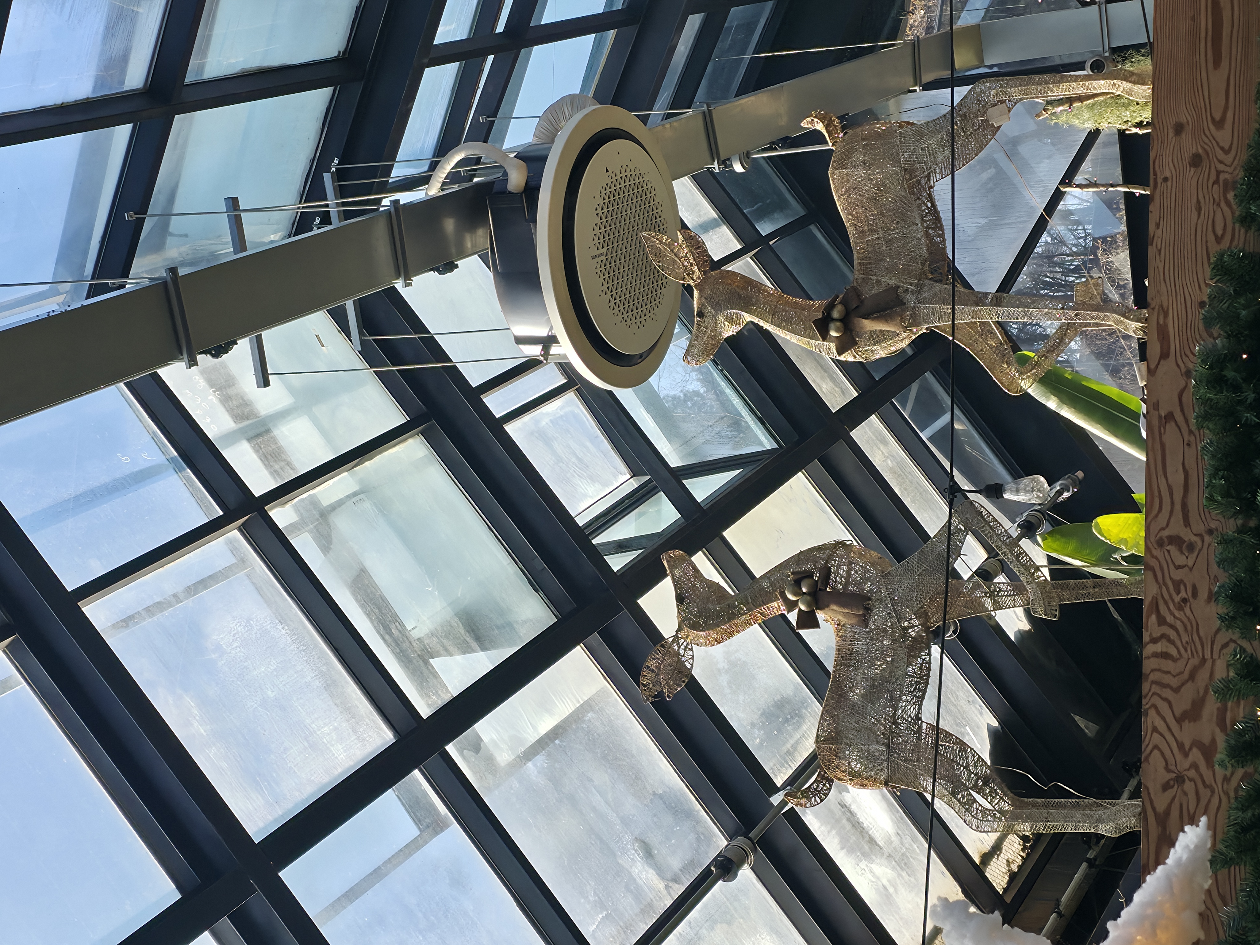 [일상 공유] 식물원 카페