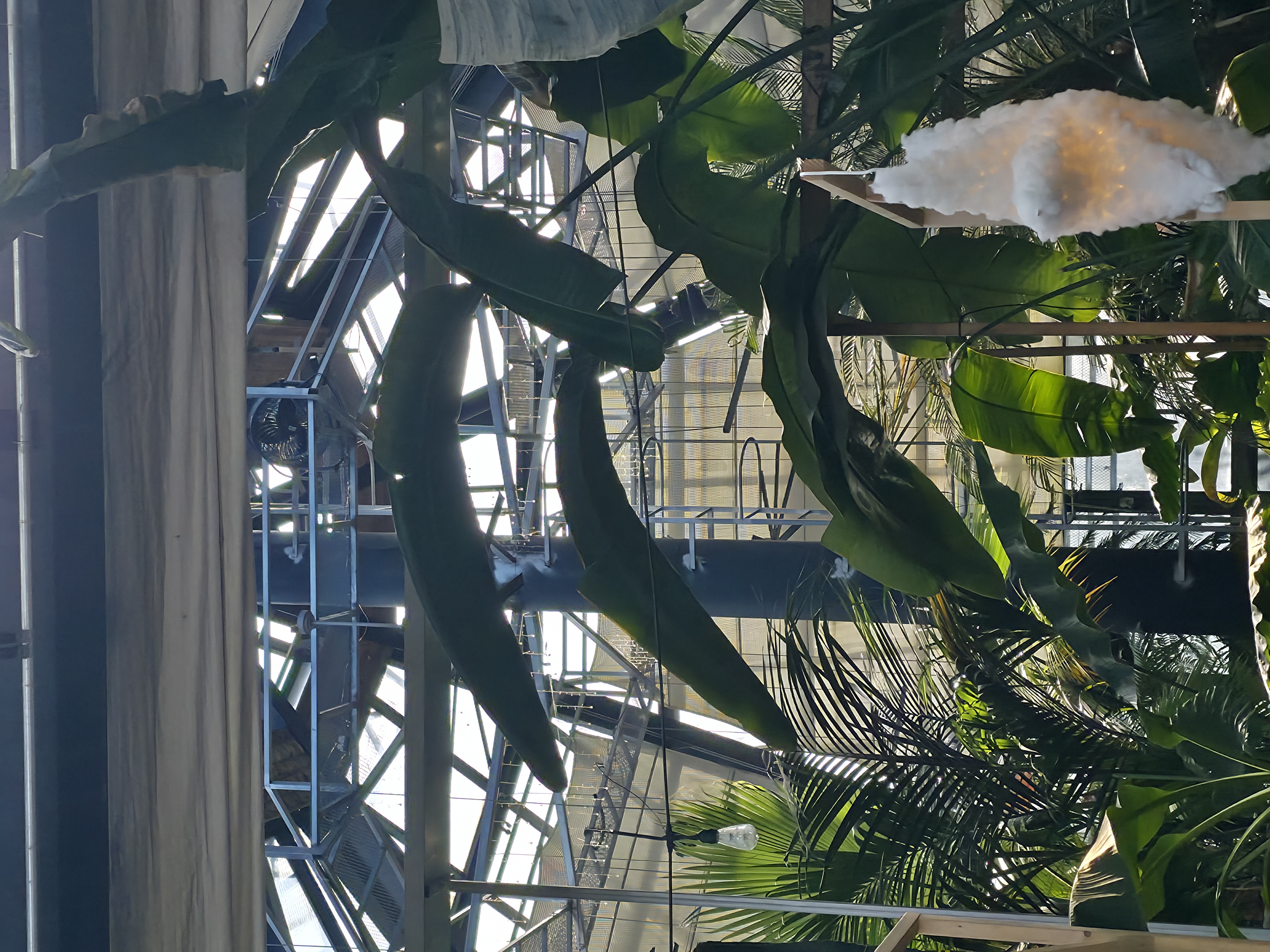 [일상 공유] 식물원 카페