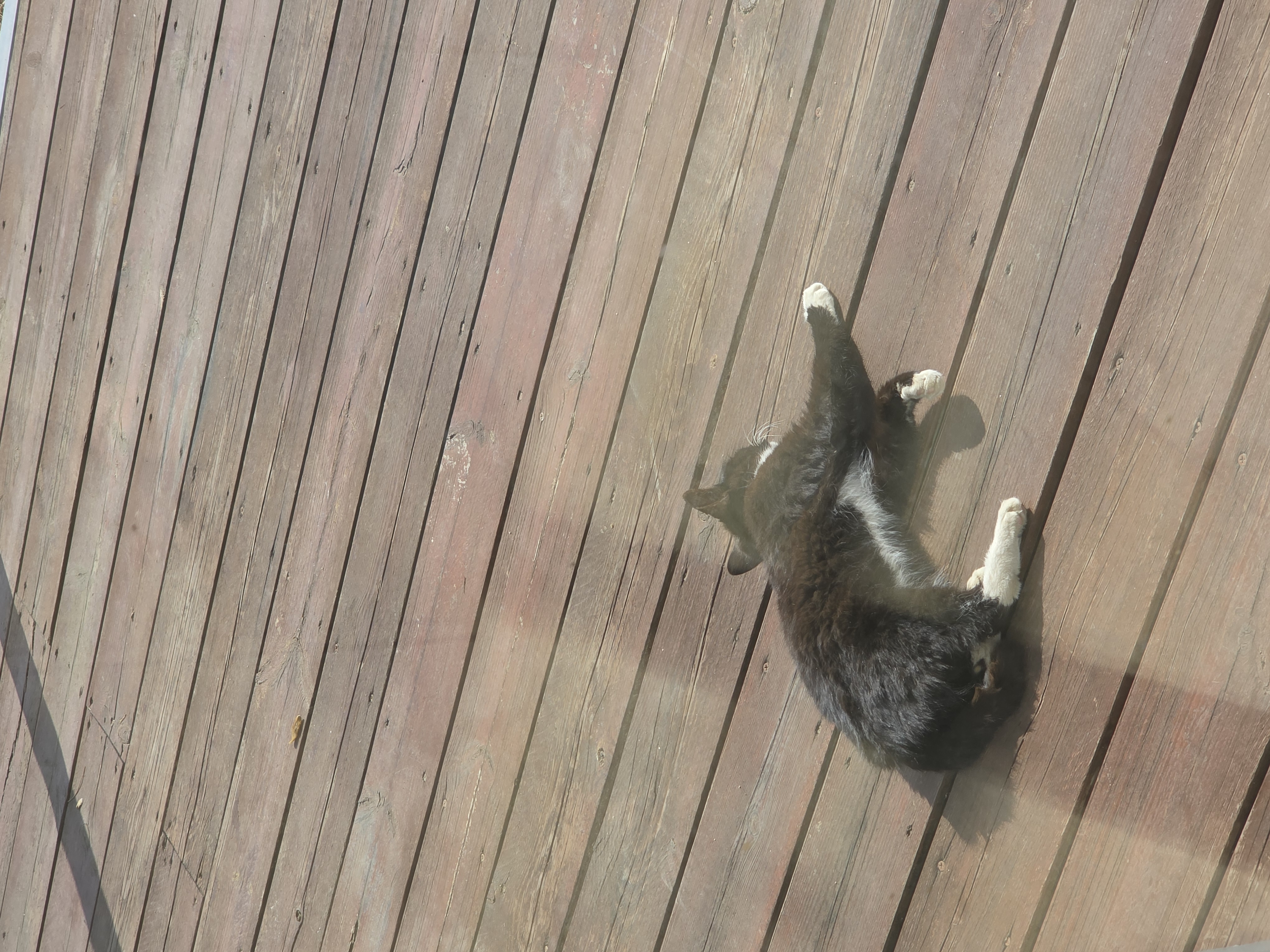 [일싱 공유] 평화로운 오후