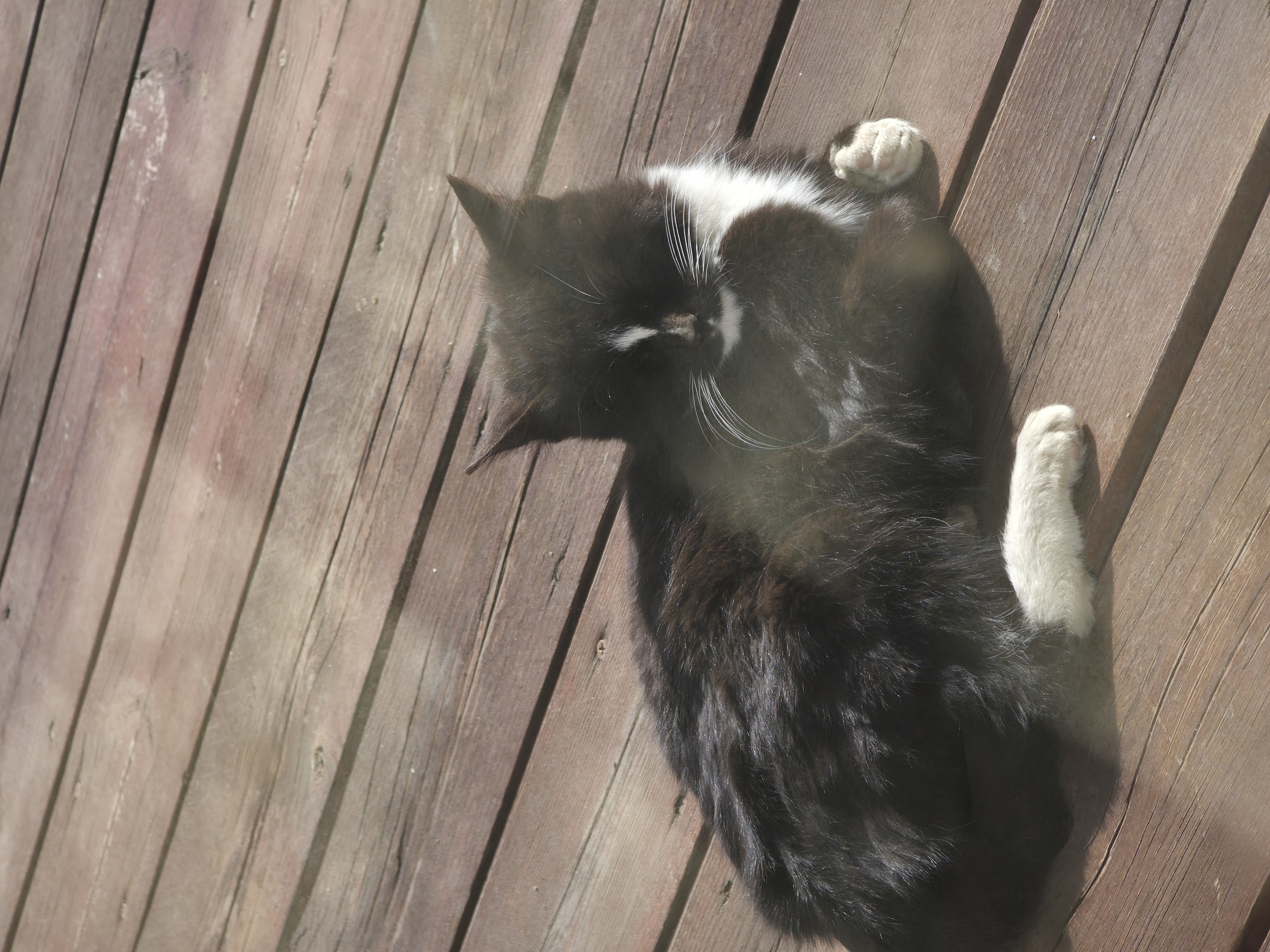 [일싱 공유] 평화로운 오후