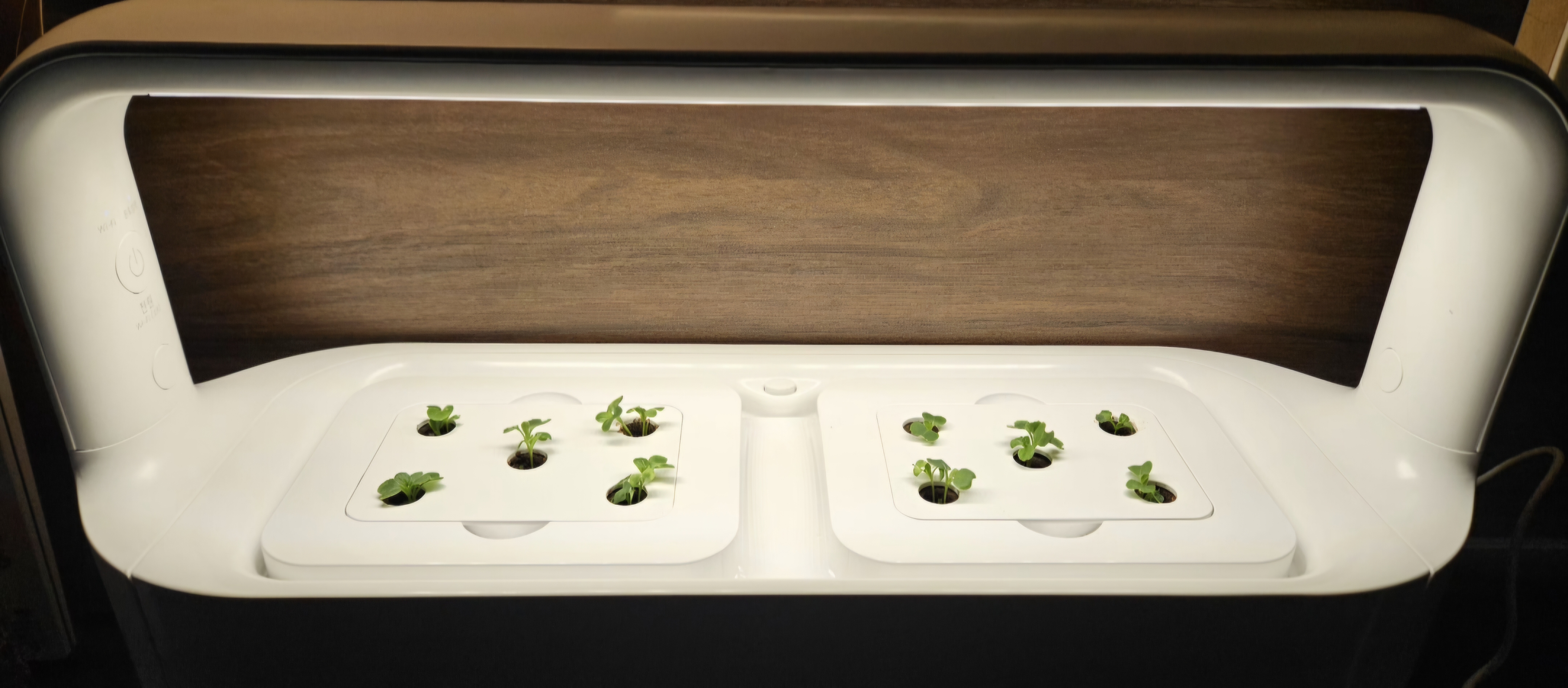 겨울철 쉽게  키우는 나만의 작은 정원 LG 틔운 미니