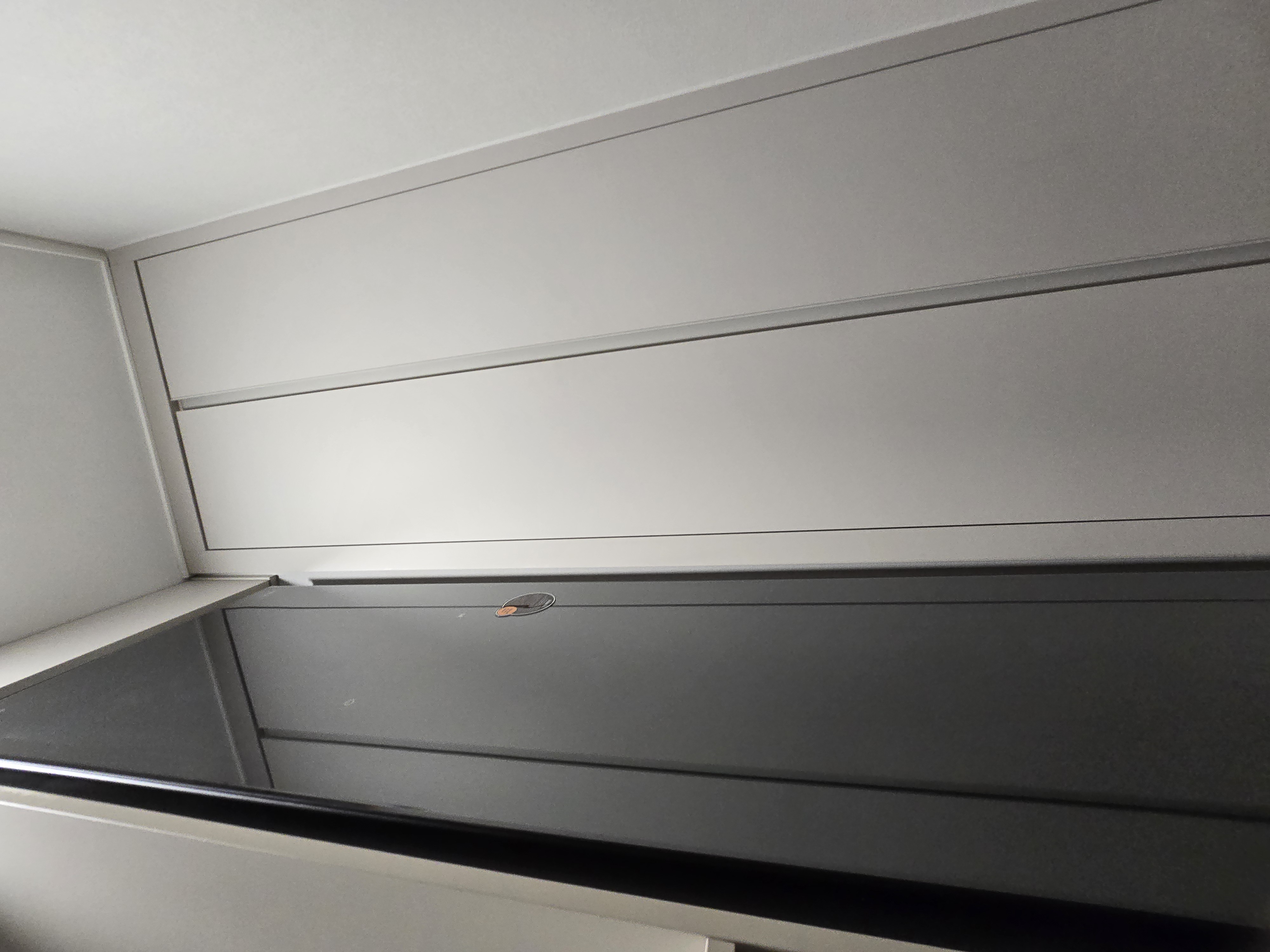 겨울옷 소생템 LG 스타일러