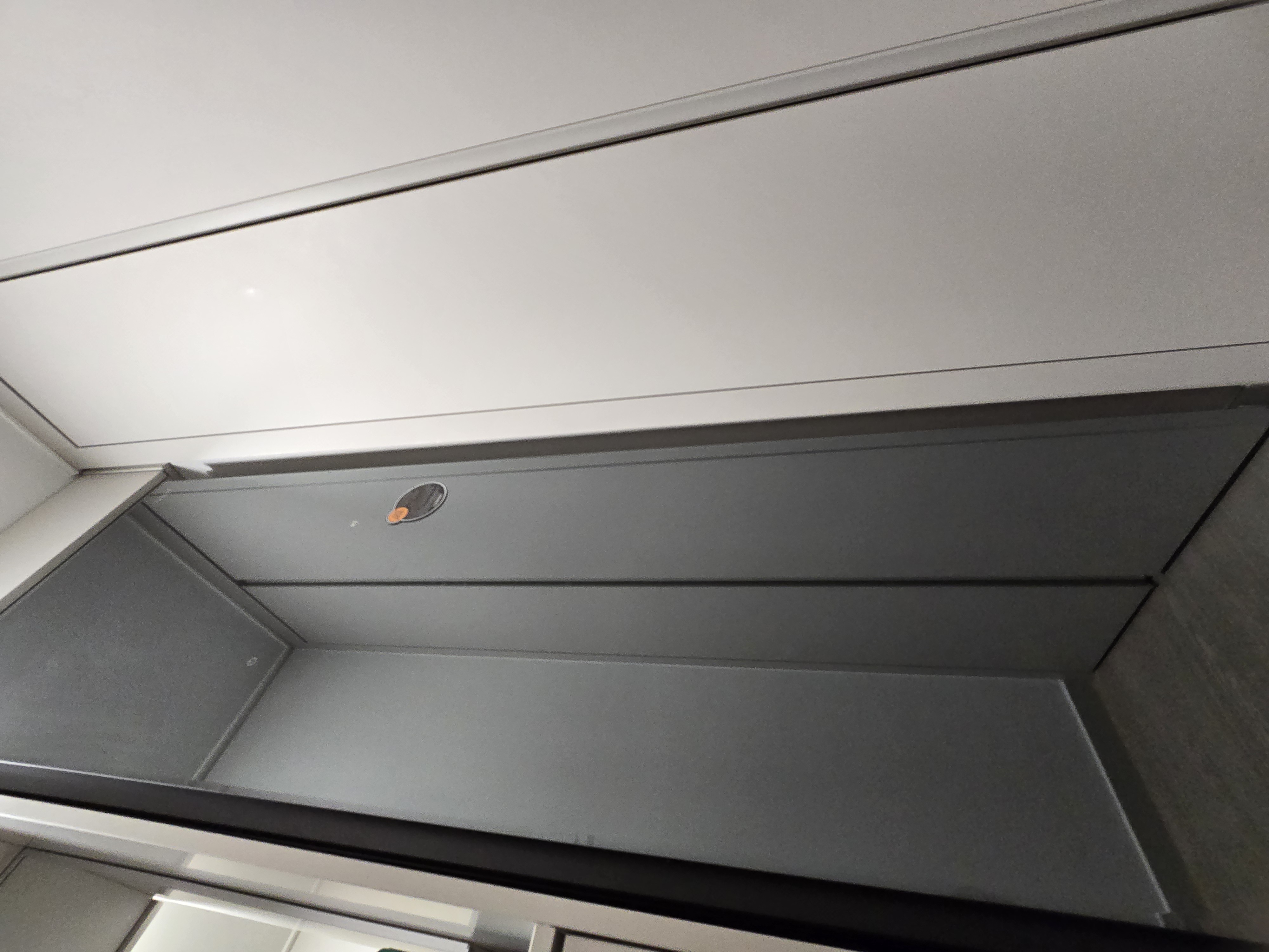 겨울옷 소생템 LG 스타일러