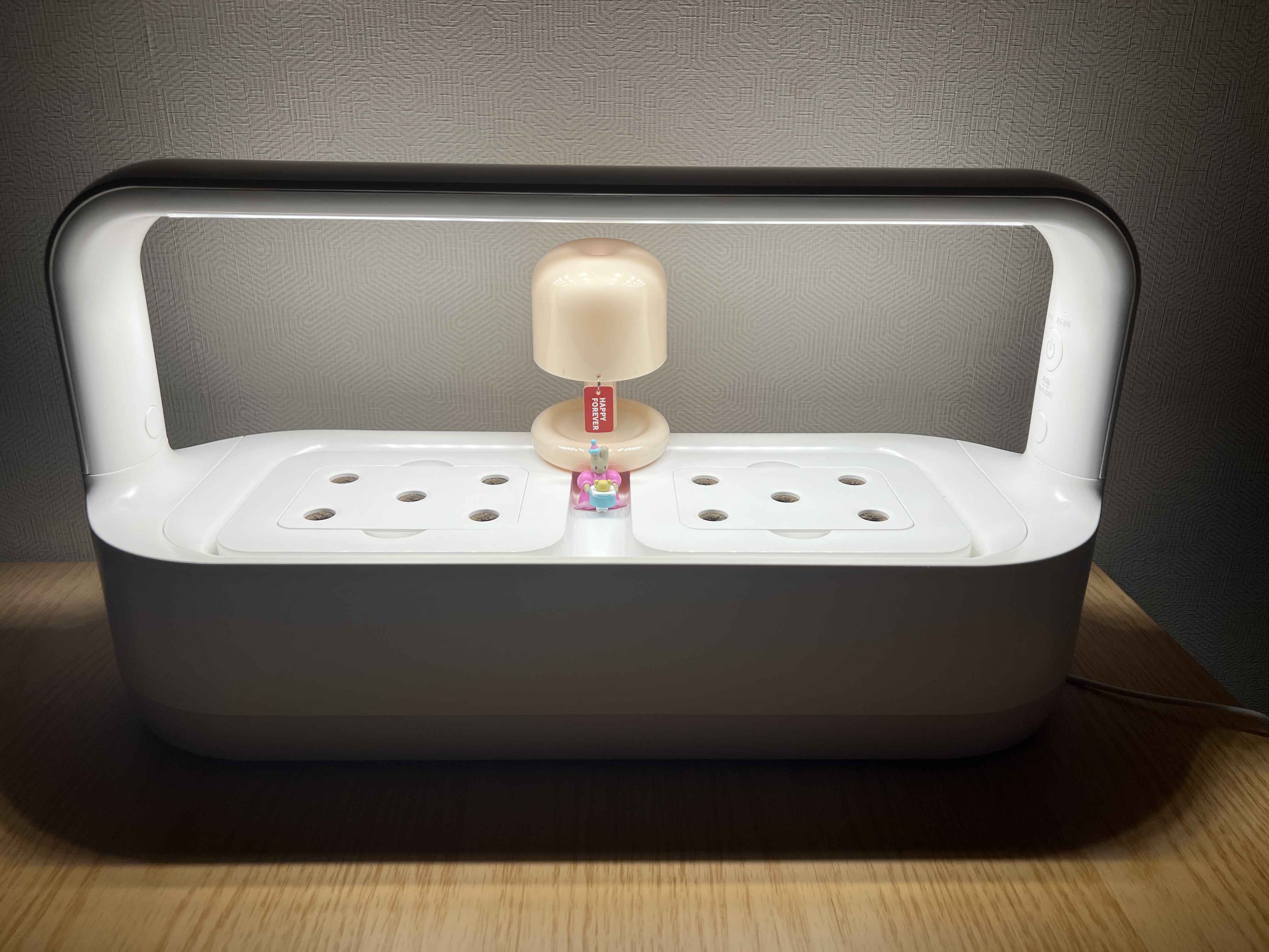 틔운미니로 집에서 식물을