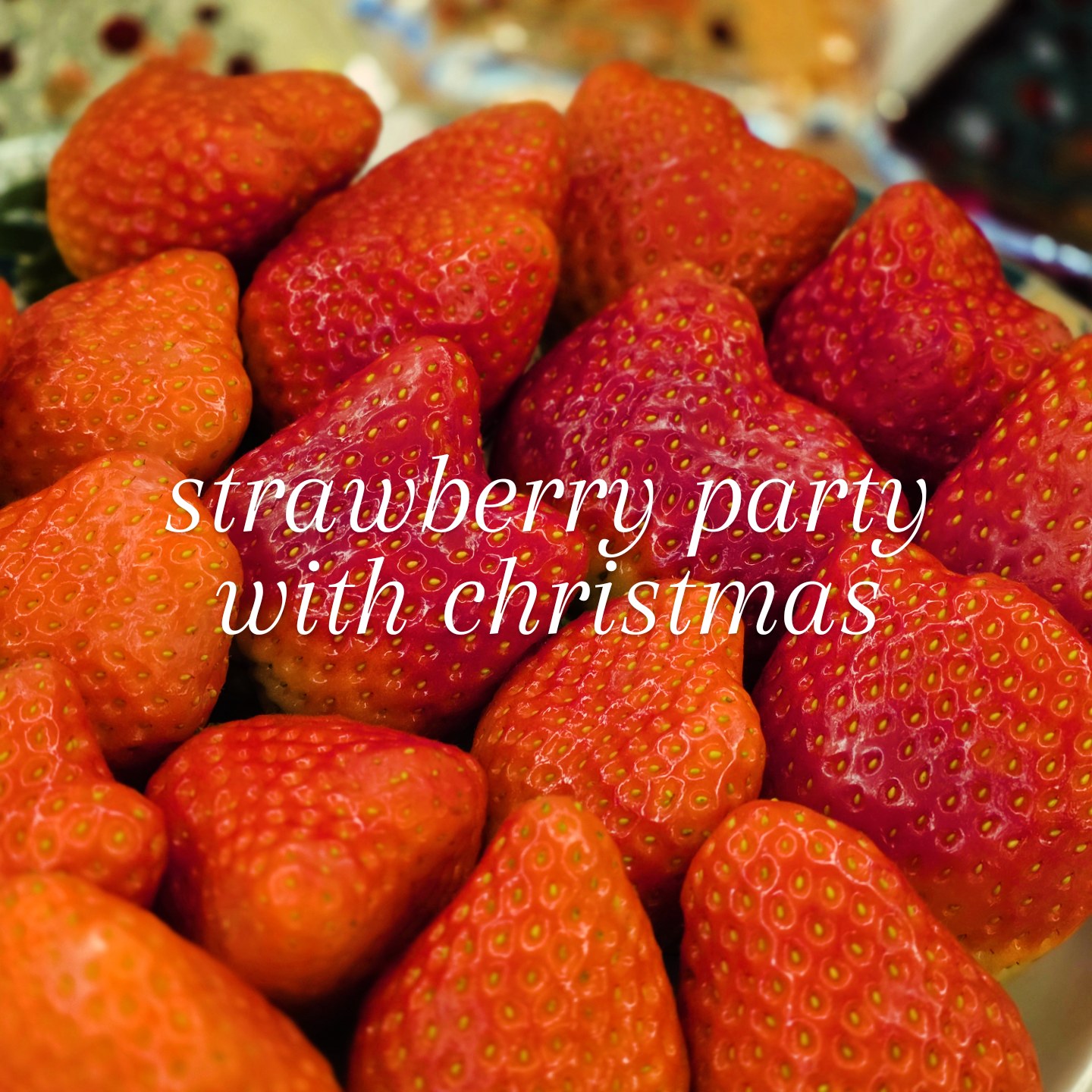 딸기에 진심인 편! LG 가전과 함께한 우리 집 ‘올 레드’ 딸기 크리스마스 파티 🍓