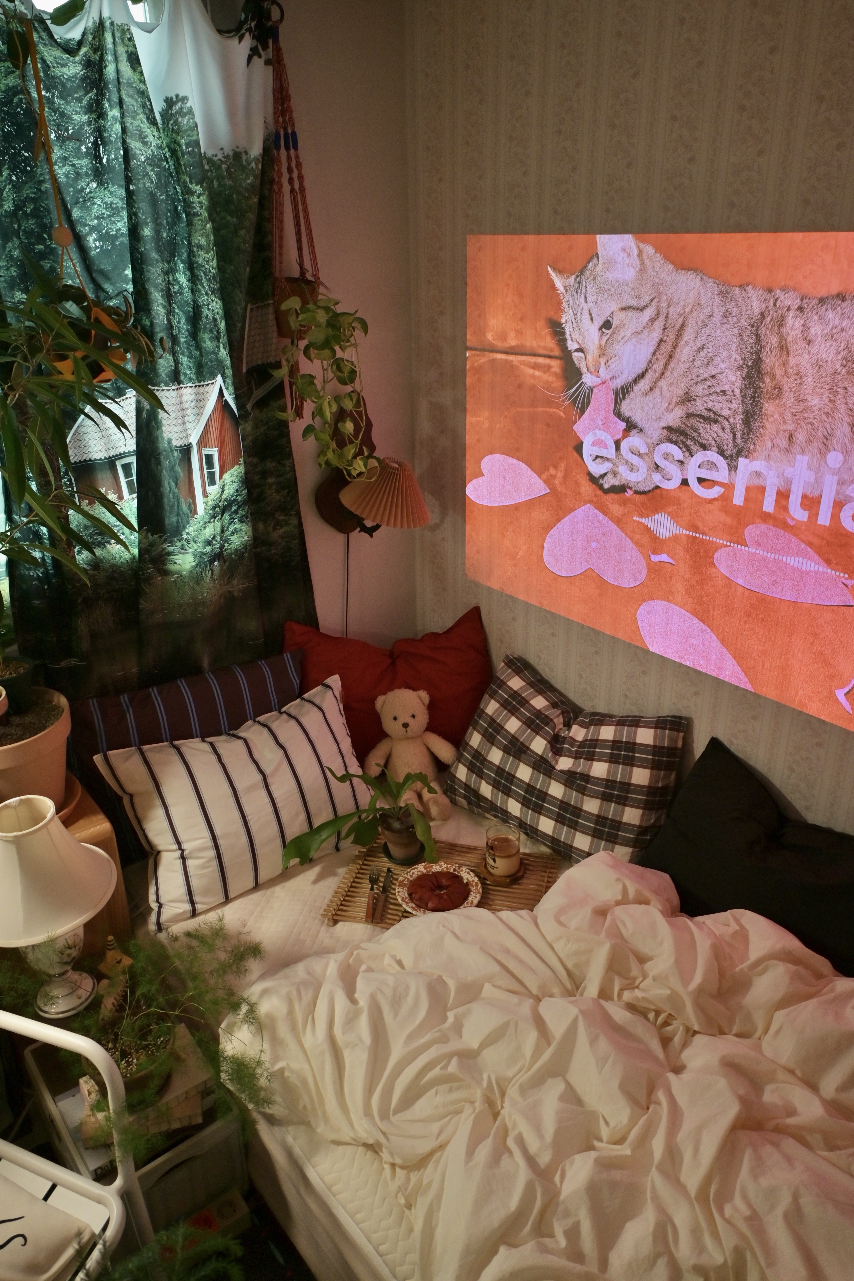 <모여봐요 재미클럽> 낭만 클럽장 드리밍룸룸의 낭만 가전템은?