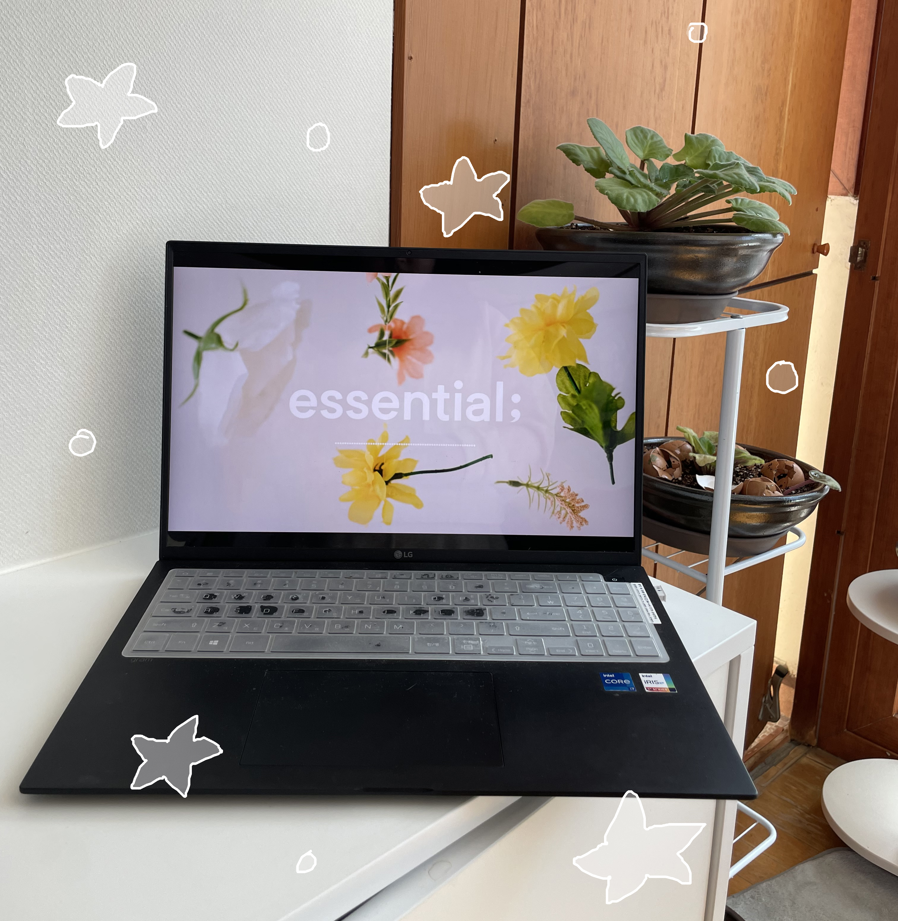 인생은 낭만으로 살아가는 법