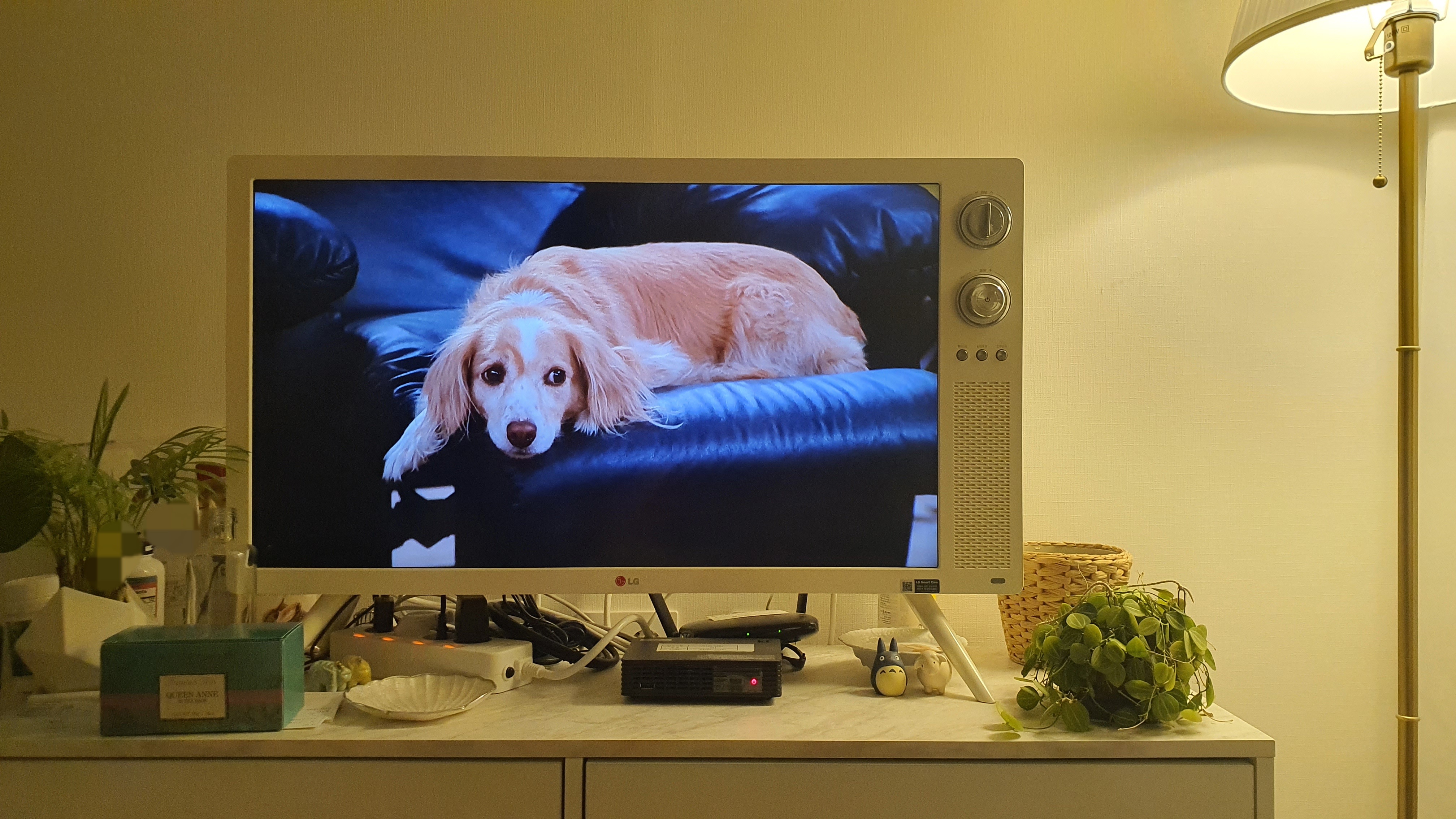 조용한 주말을 완성하는 빈티지 화면