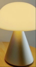 작지만 강력한 렉슨 미나 조명