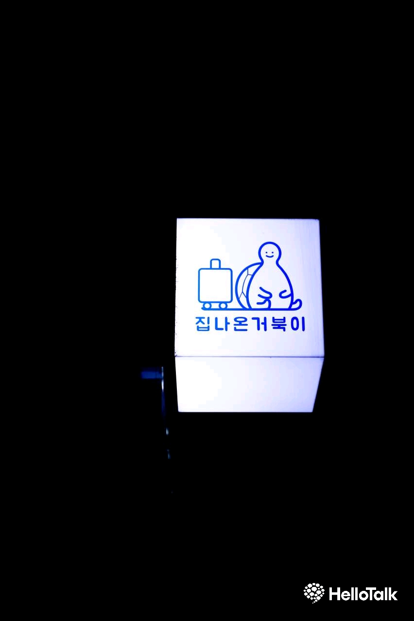 [일상 공유] 서울나들이 - 종로 