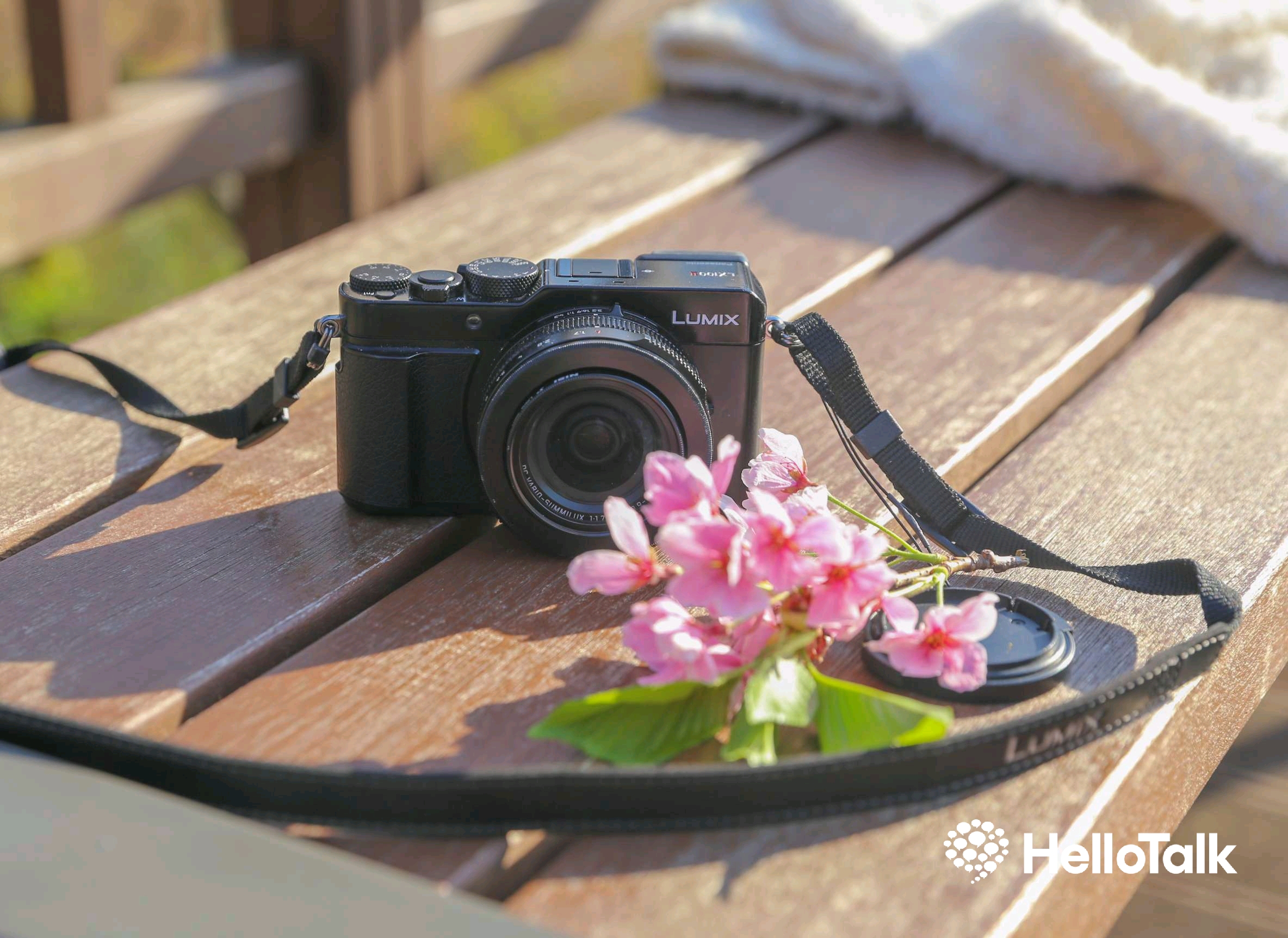 [사진 공유] 어느 봄 날