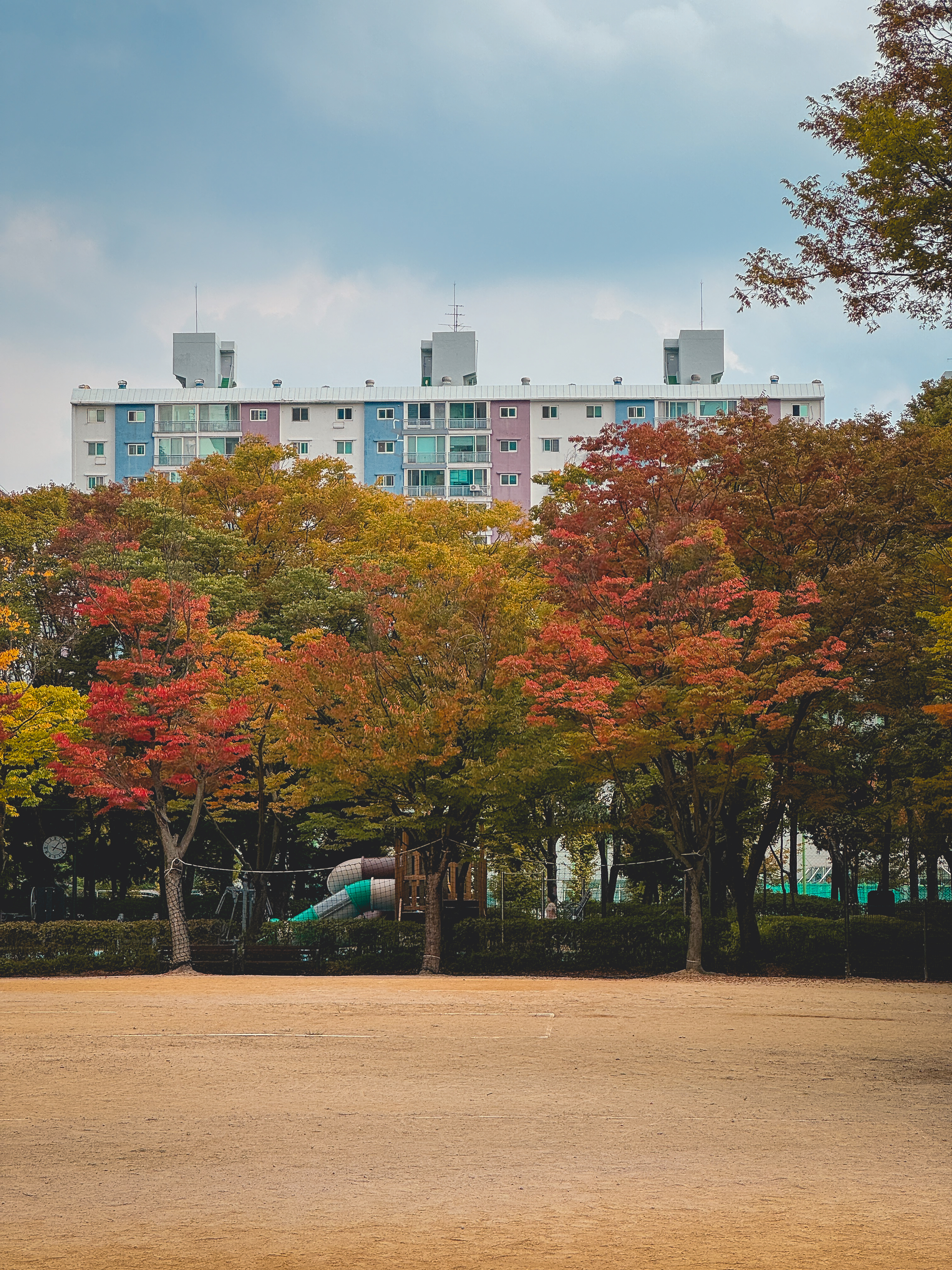 서울도 곳곳이 단풍이 예쁘게 들었어요