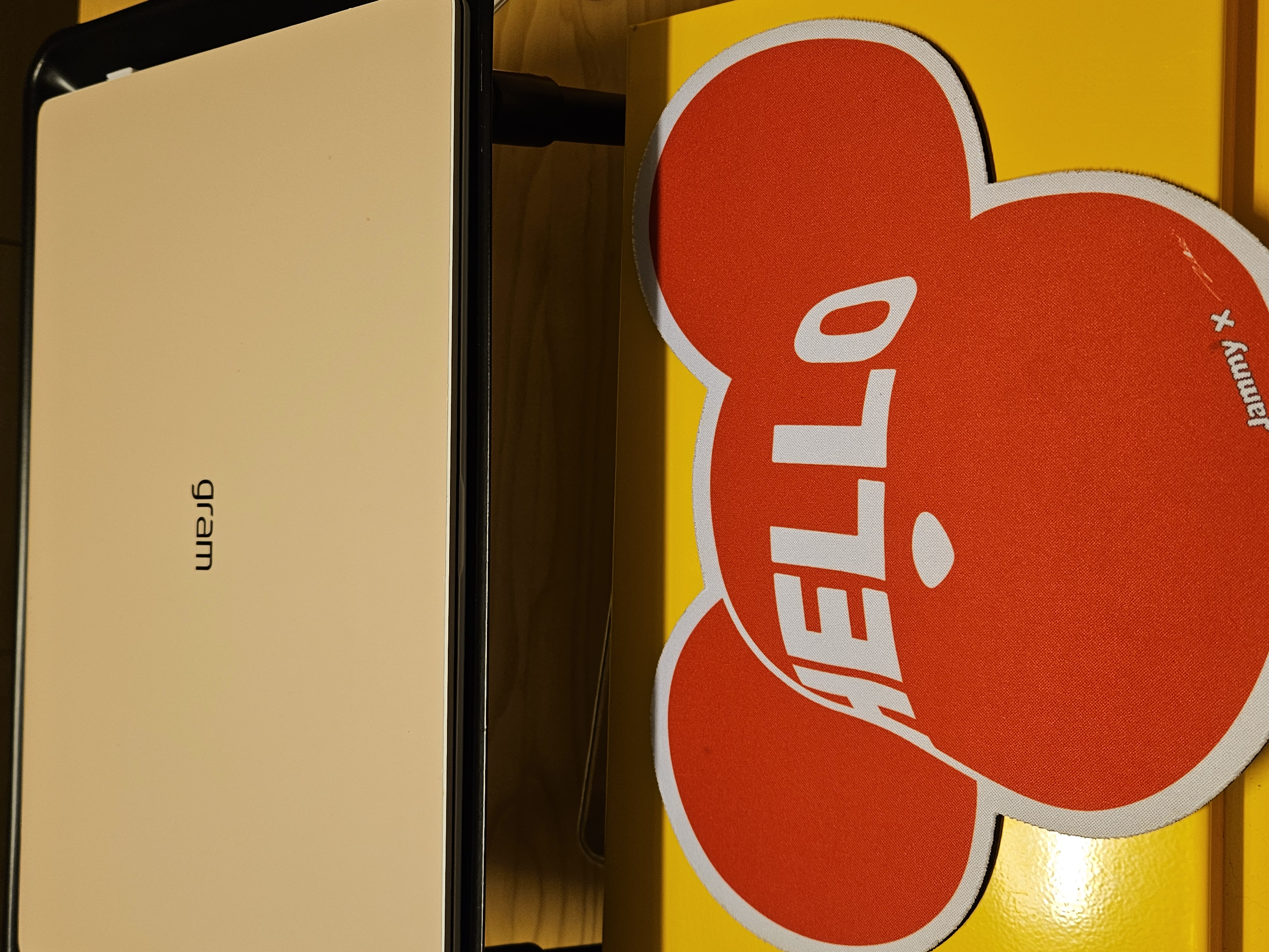 Gram 디자인이 좋아요ㅎㅎㅎㅎ