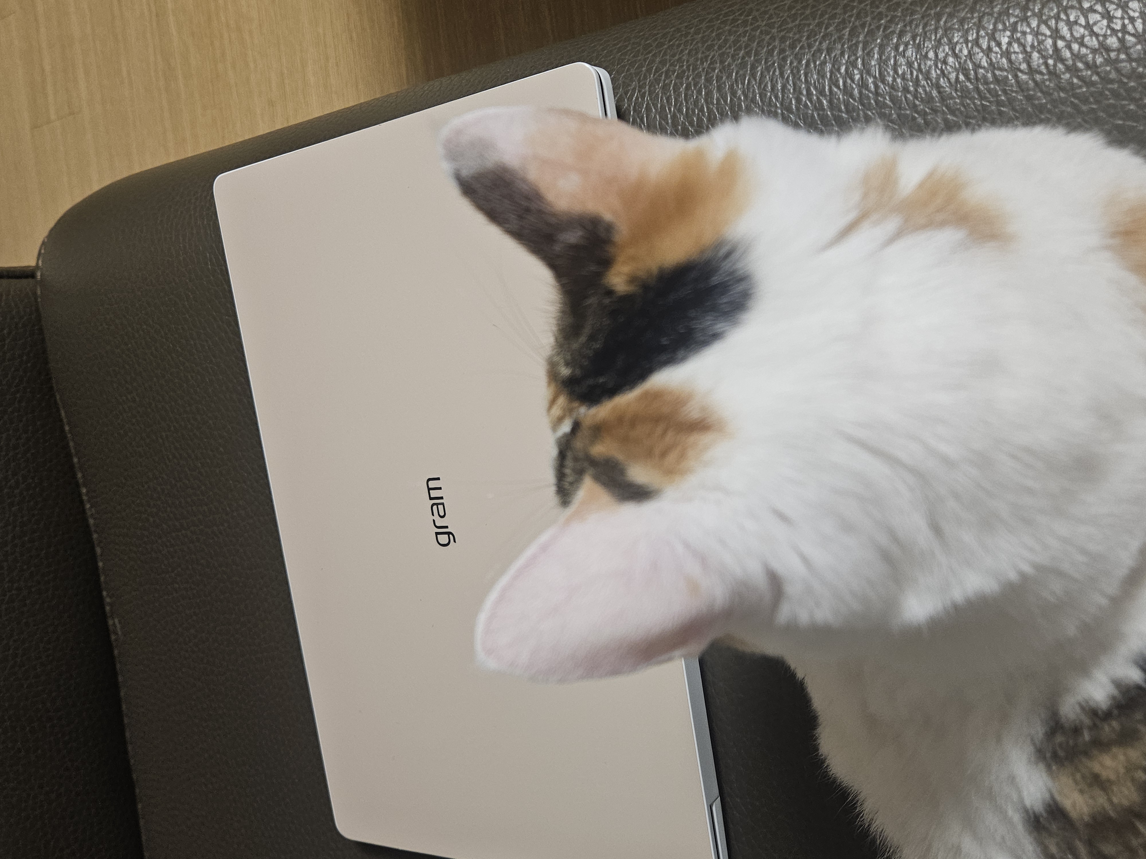 Gram 디자인이 좋아요ㅎㅎㅎㅎ