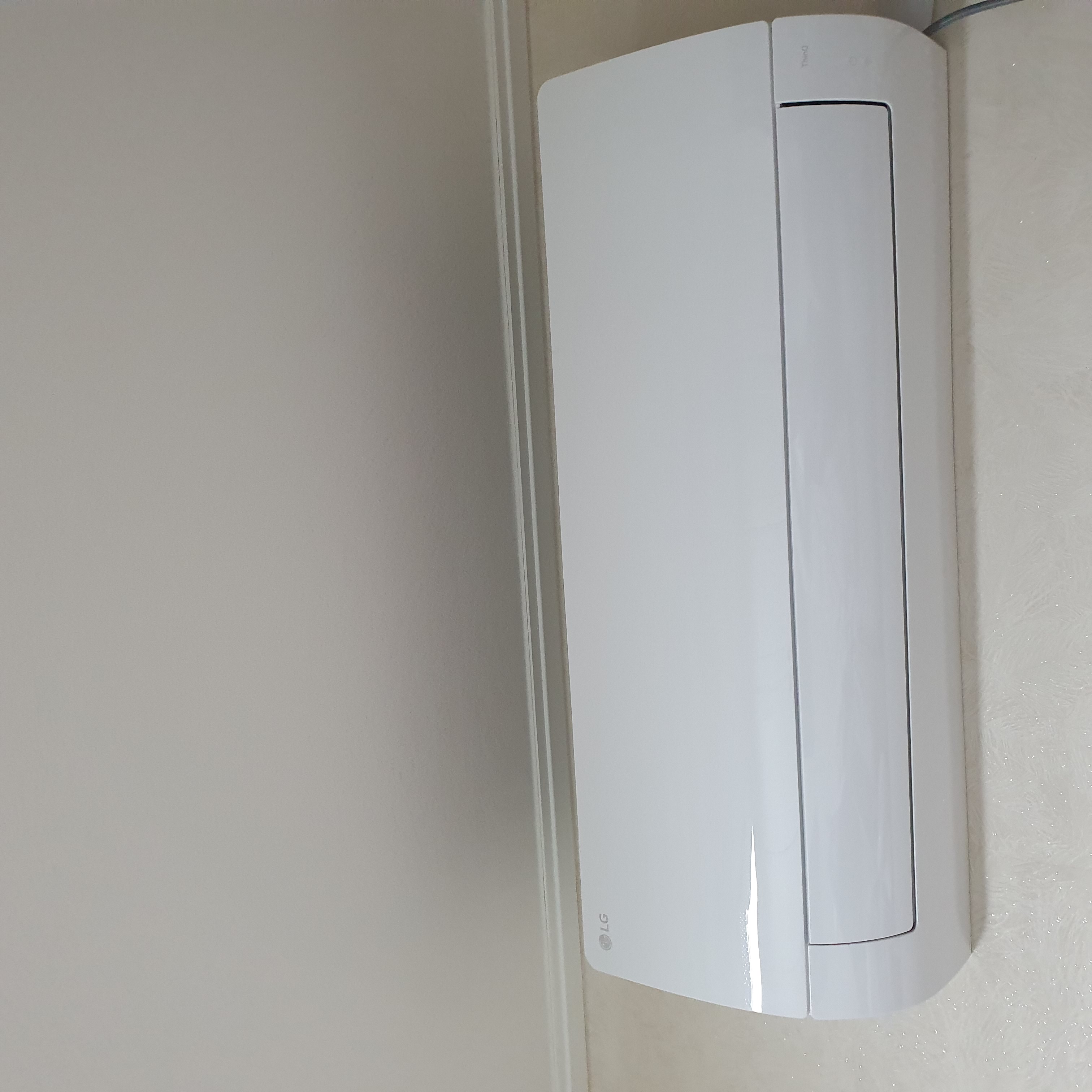 무더운 올여름 덕분에...