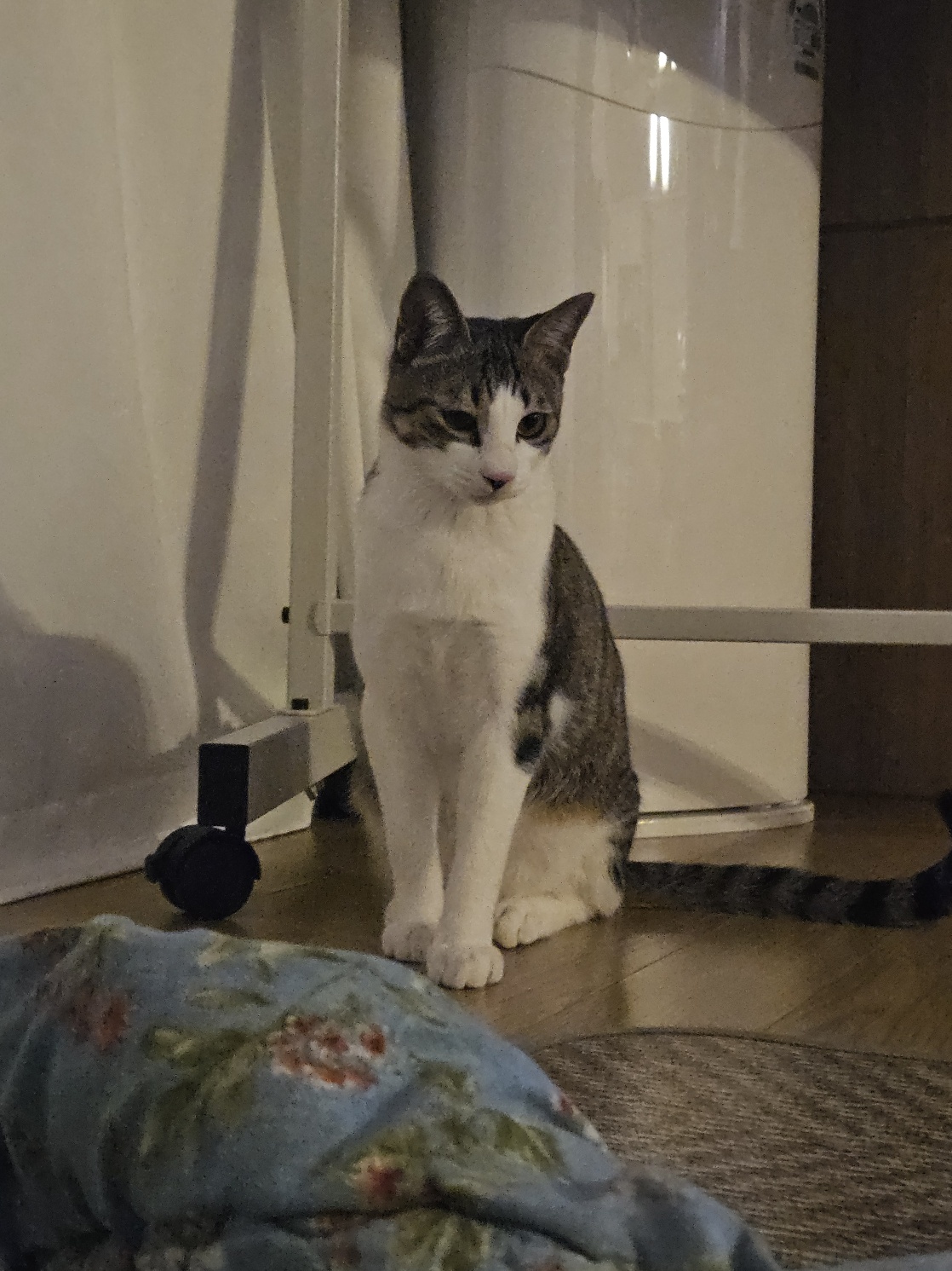 이미지