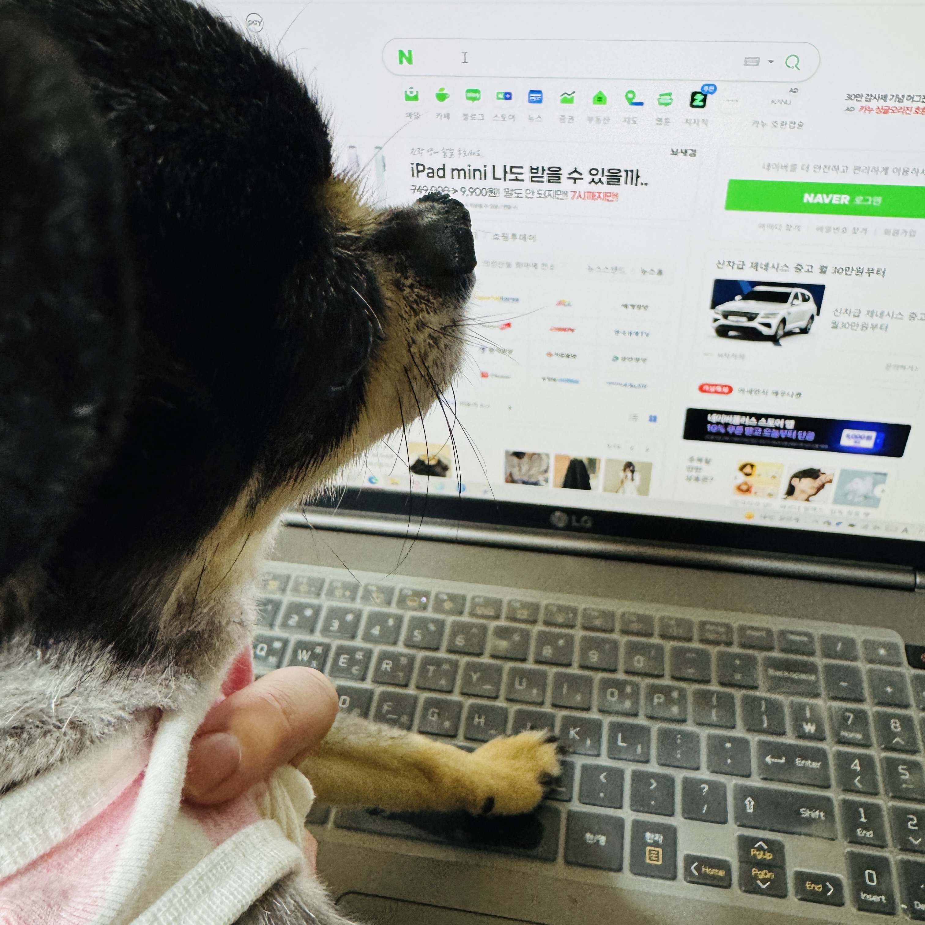 이미지