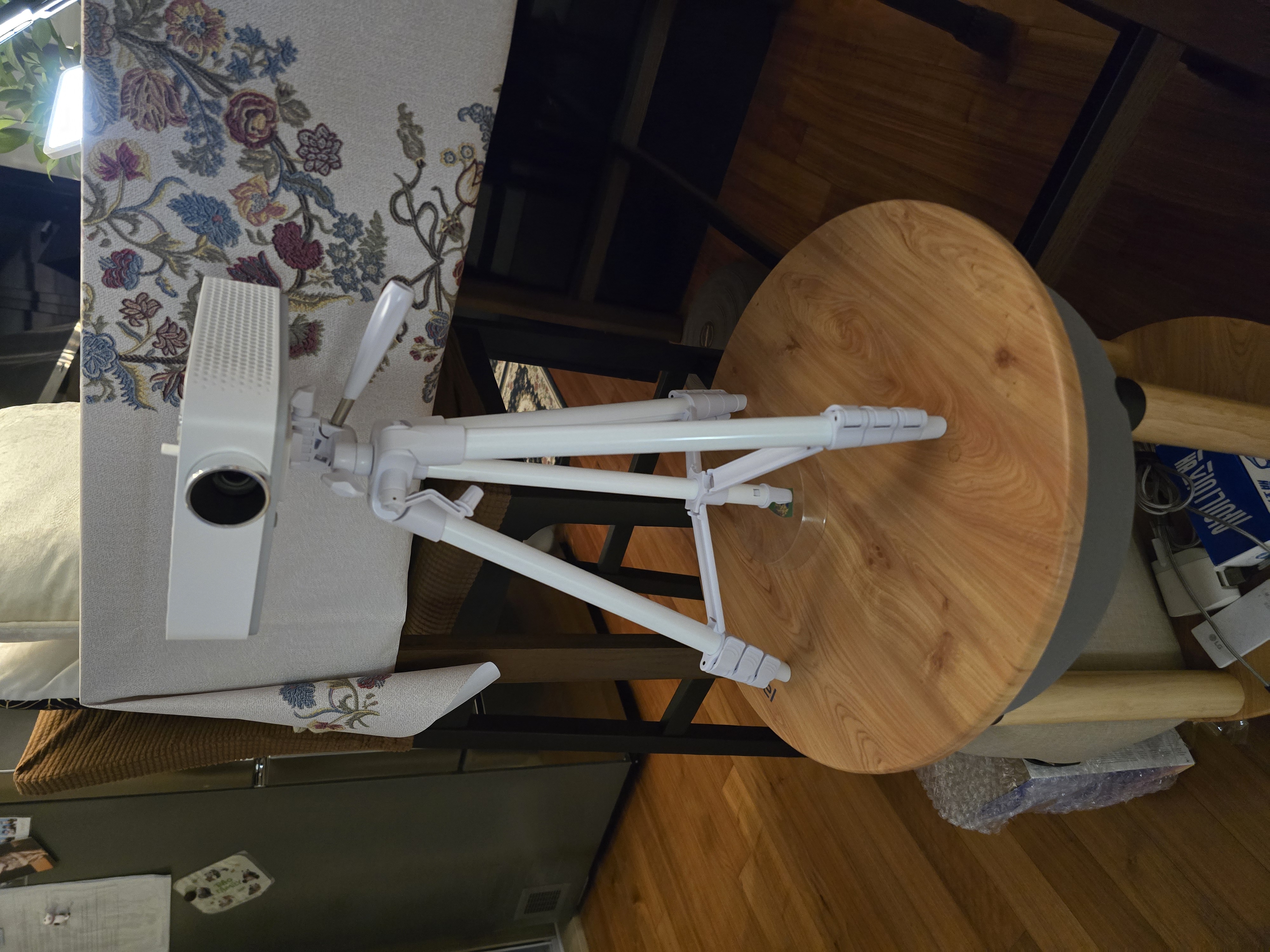 엘지미니빔으로 일대일 판다월드