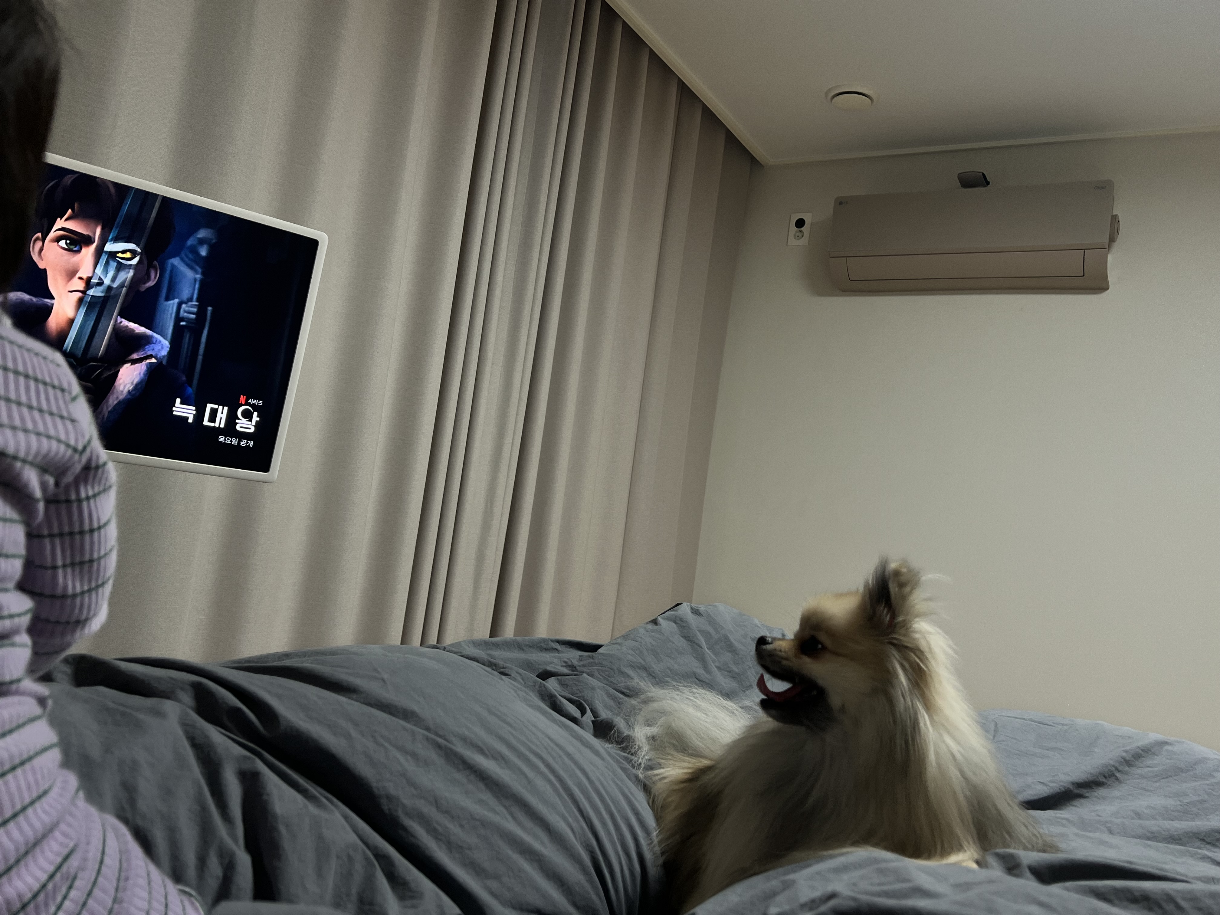 이미지