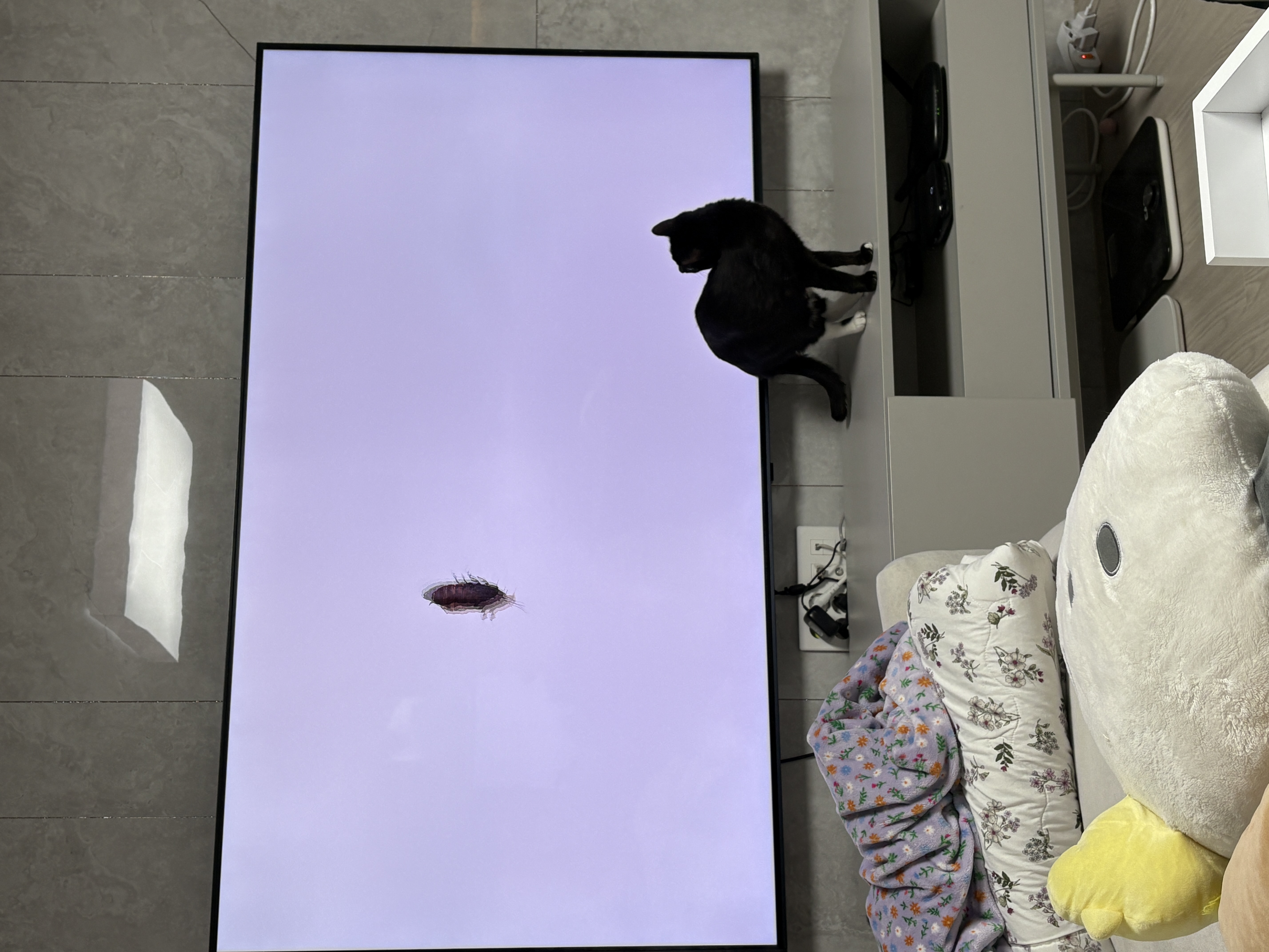이미지