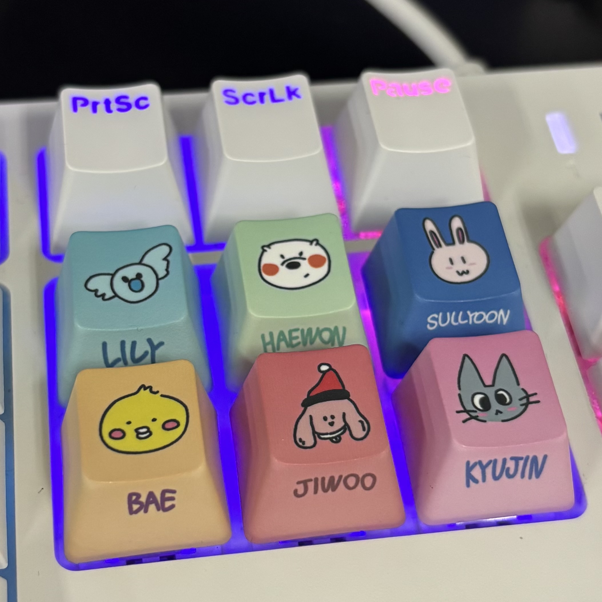 이미지