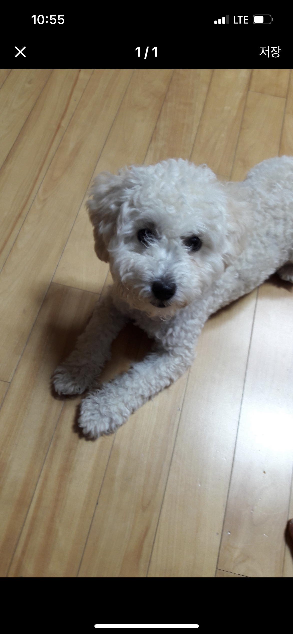 이미지